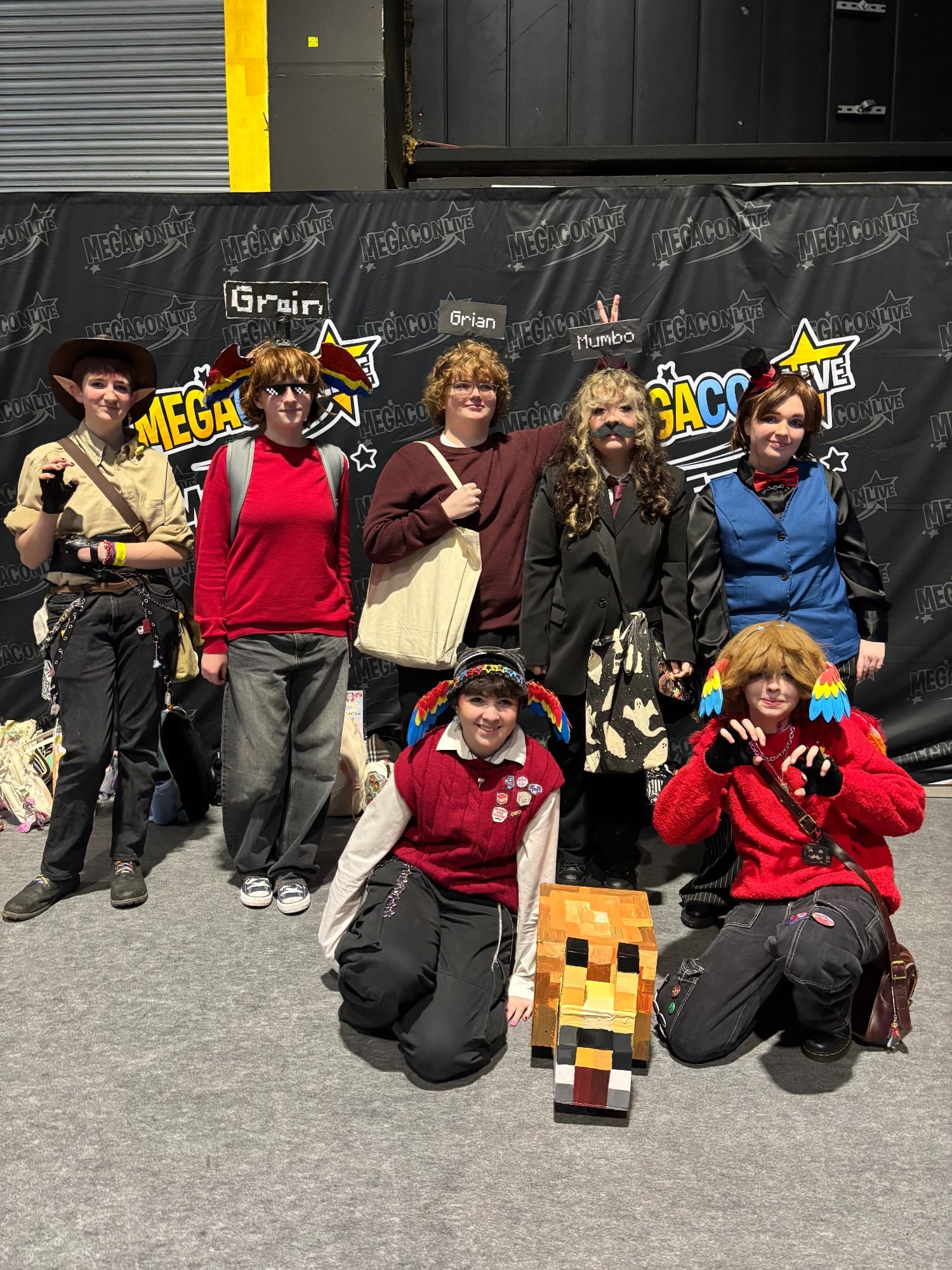 Dublin megacon '26 - Photo 18