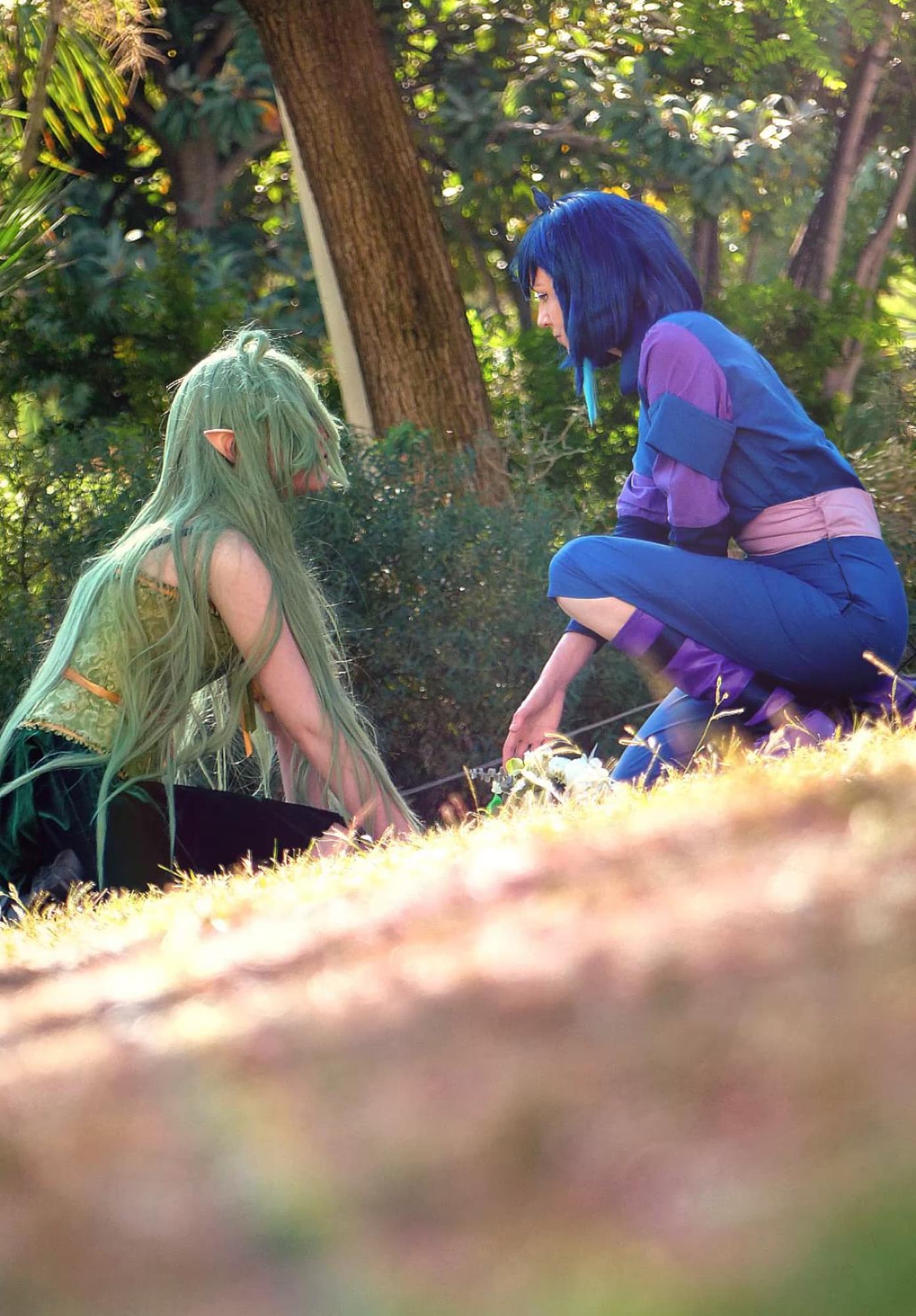 Shedar et Rillette - Photo 2