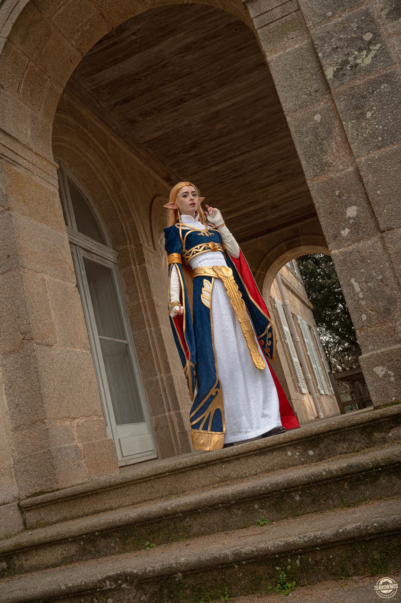 Zelda Royal Dress - Photo 3