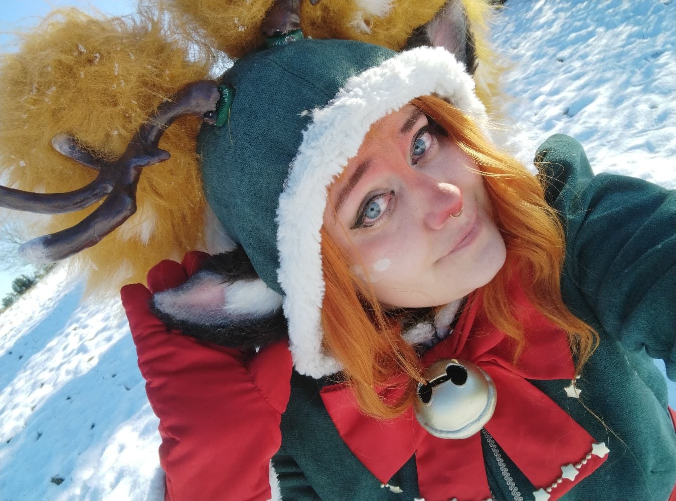 Snow fawn poppy - Photo 3