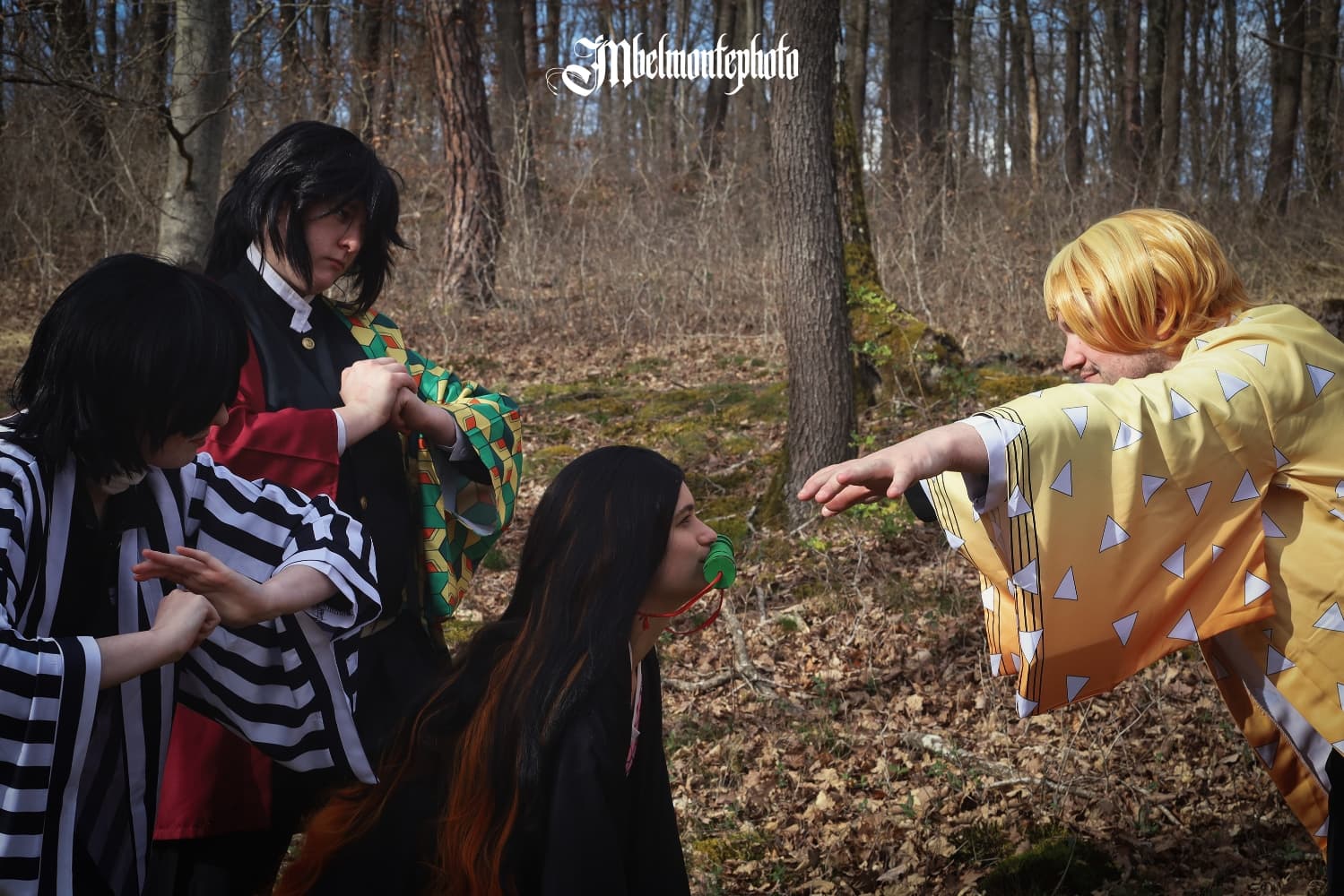 Demon slayer  - Photo 18