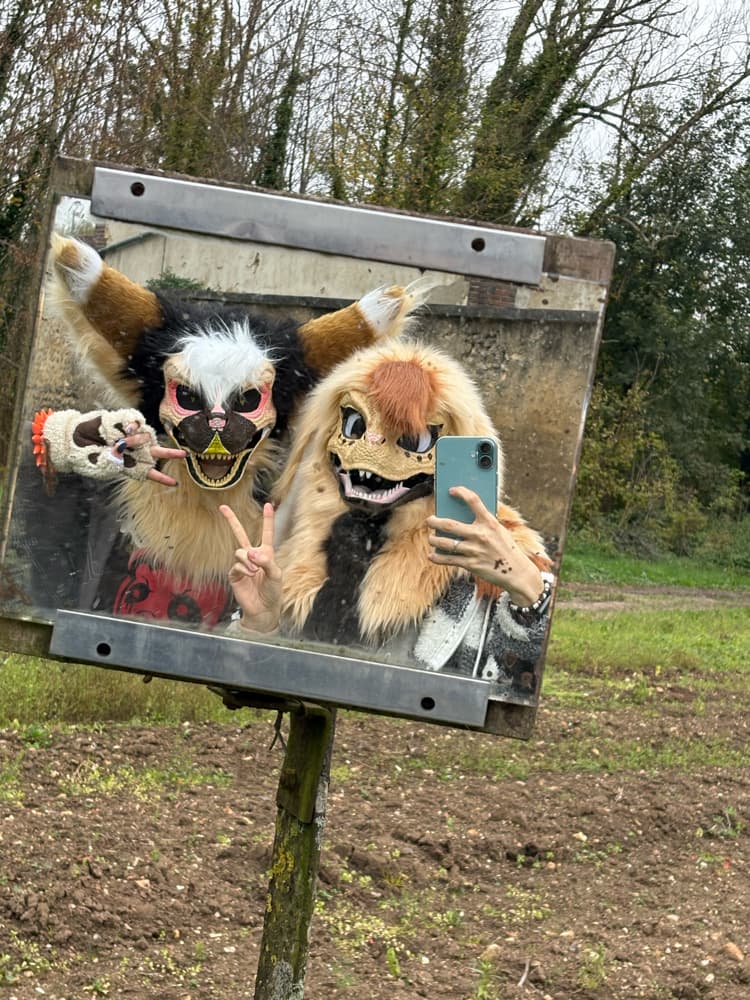 Photos Tapioca - Photo 13