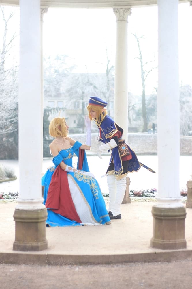 Link royal guard - Photo 6