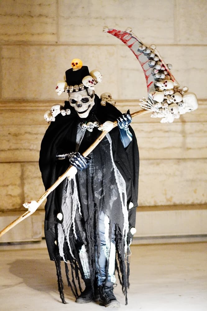 Grande faucheuse  - Photo 4