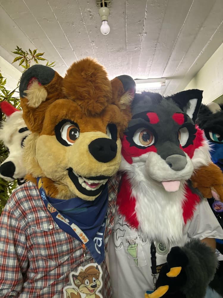 switzerland - Photo 2