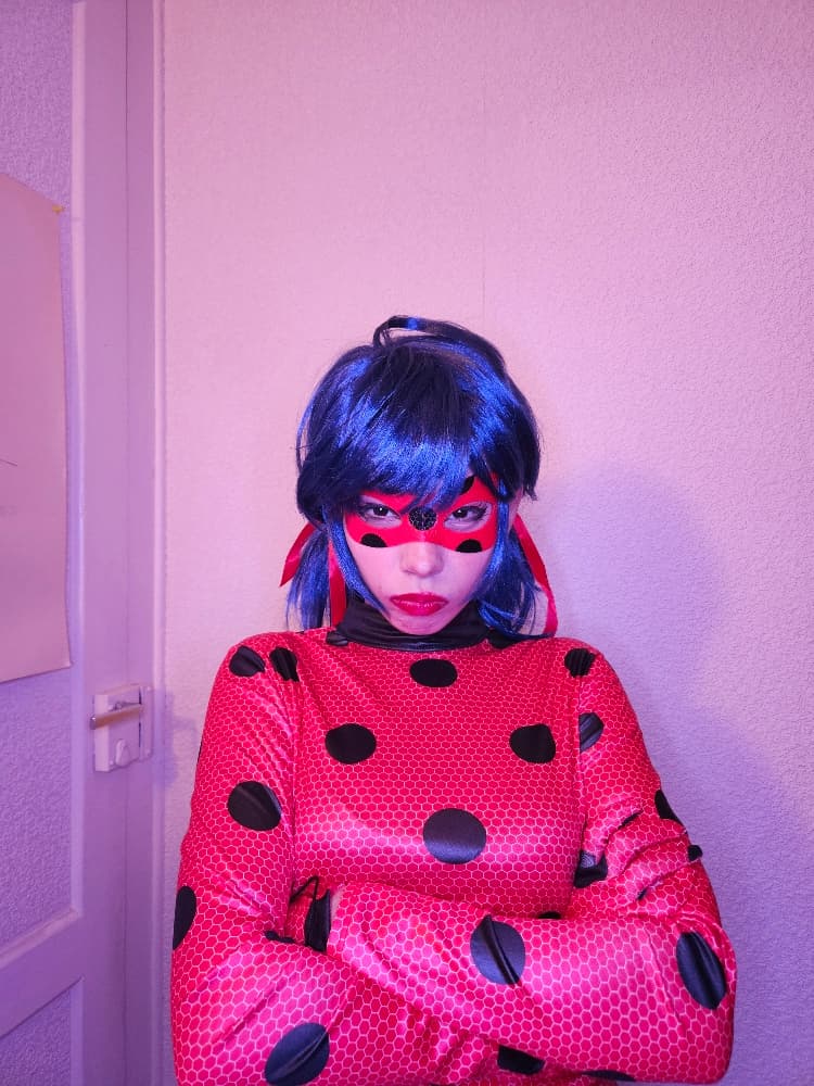 Ladybug - Photo 3