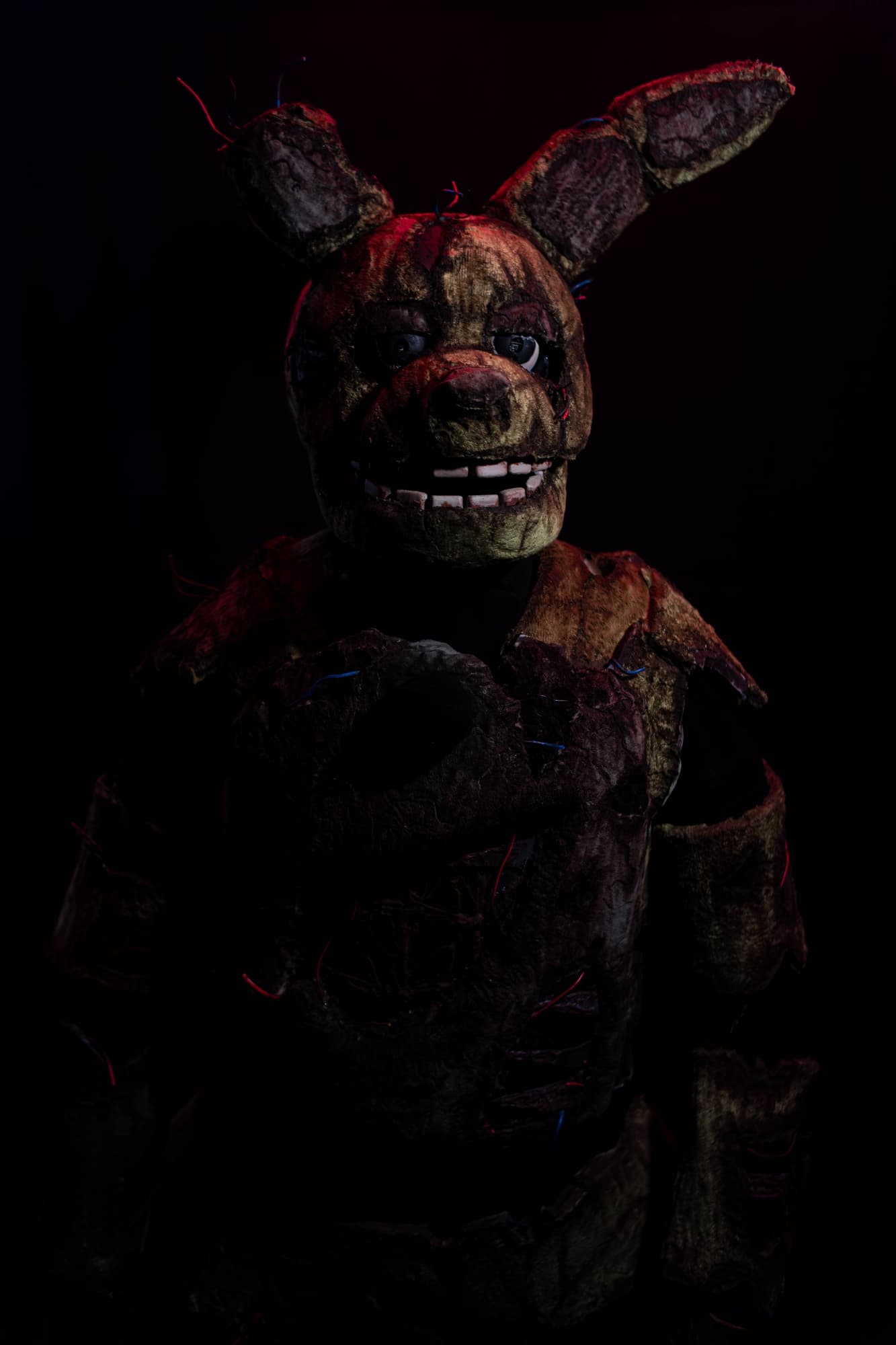 Shoot special - Photo 11