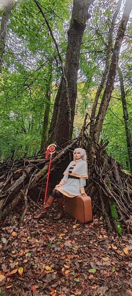 Frieren 🌱 - Photo 11