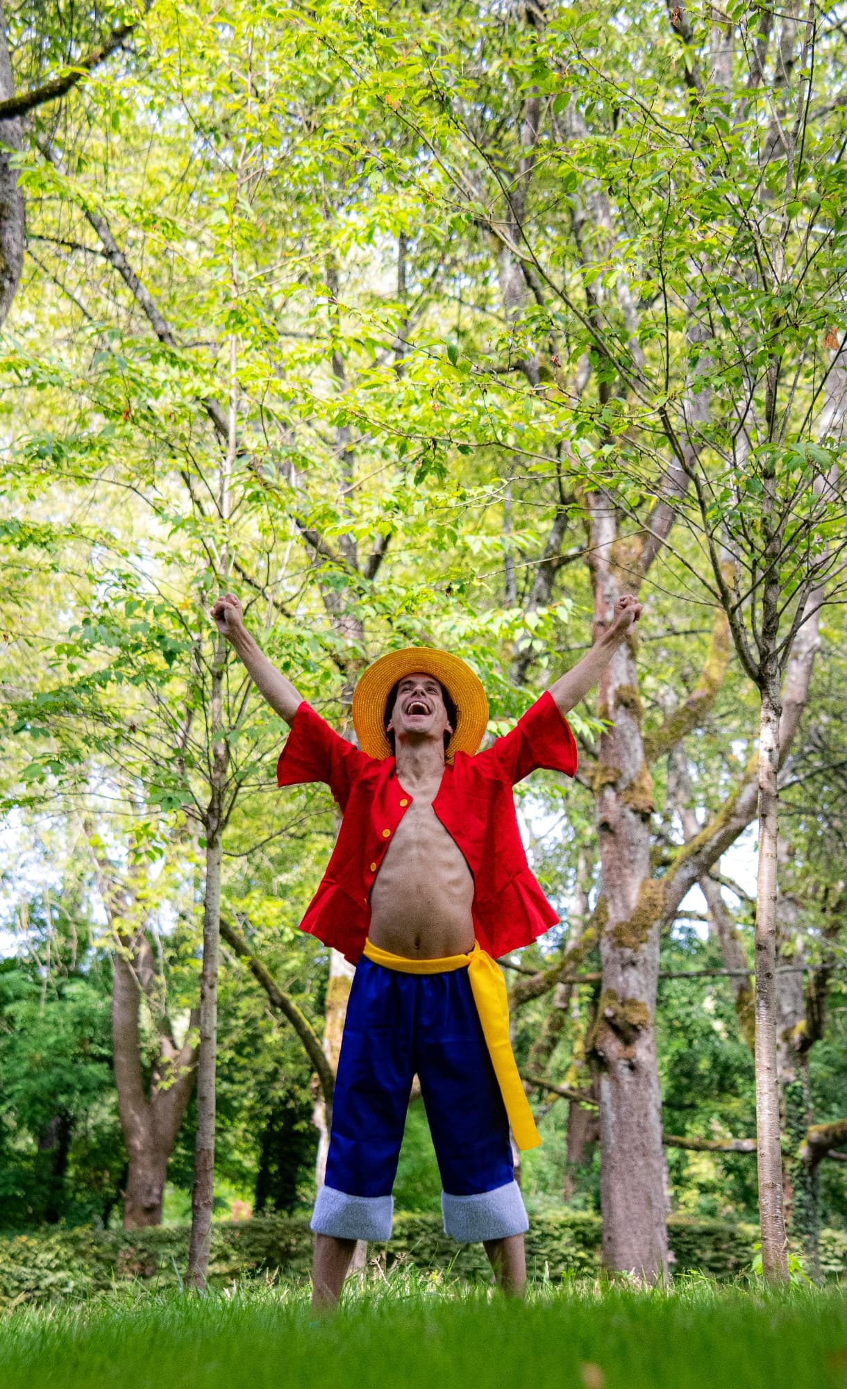 Monkey D Luffy - Photo 3