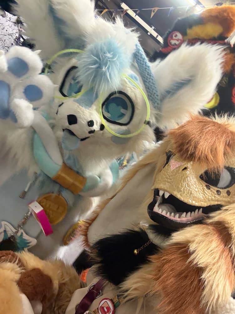 Photos Tapioca - Photo 30