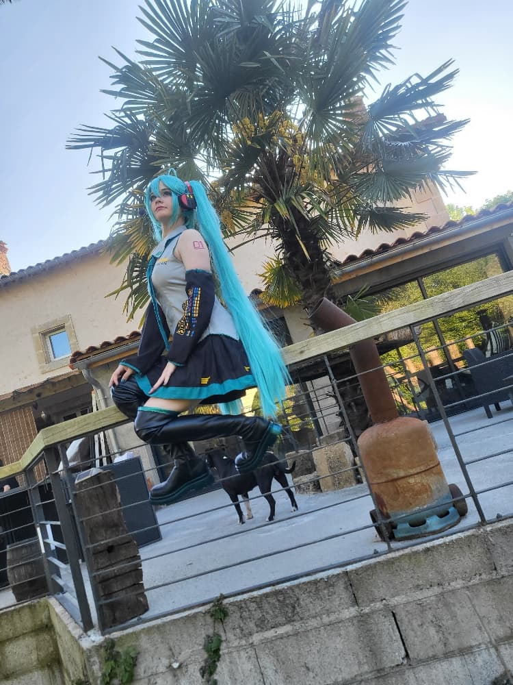 Miku - Photo 3