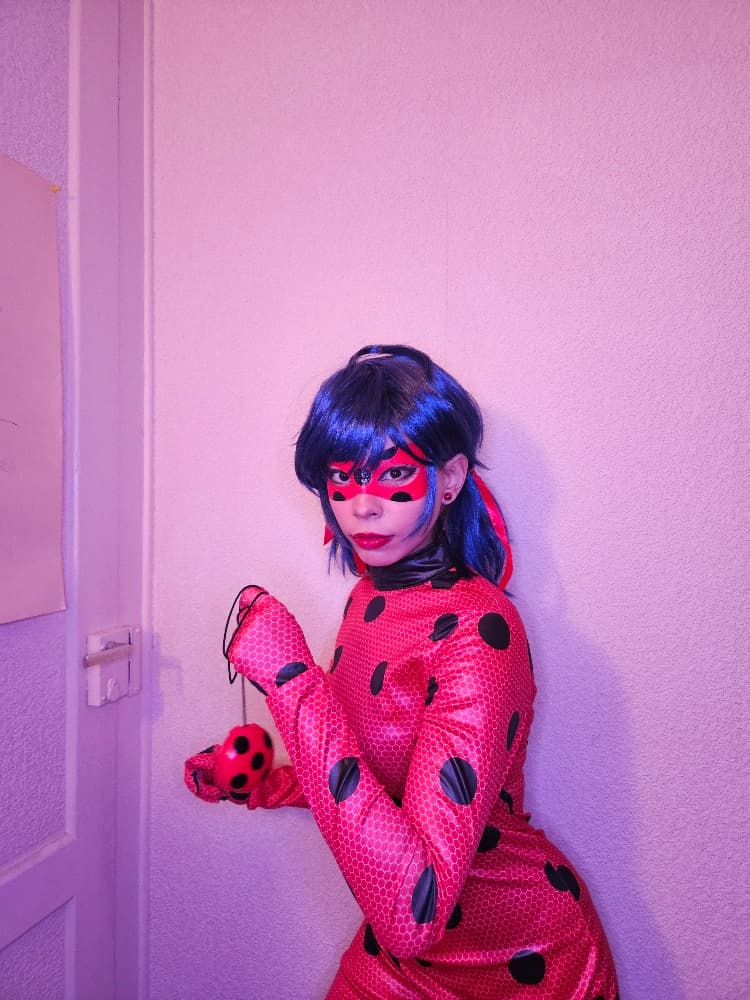 Ladybug - Photo 5