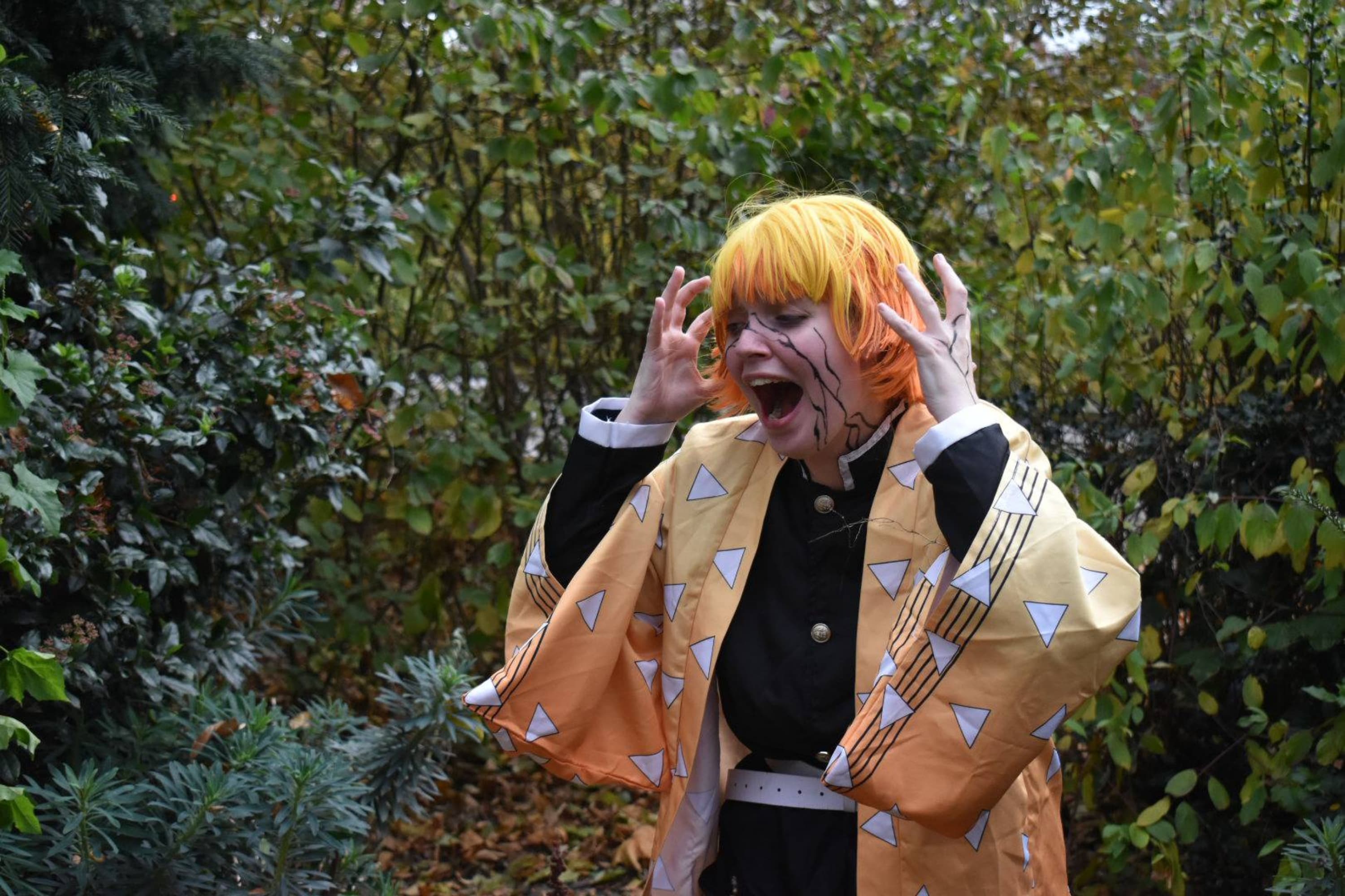 Zenitsu Agatsuma - Photo 16