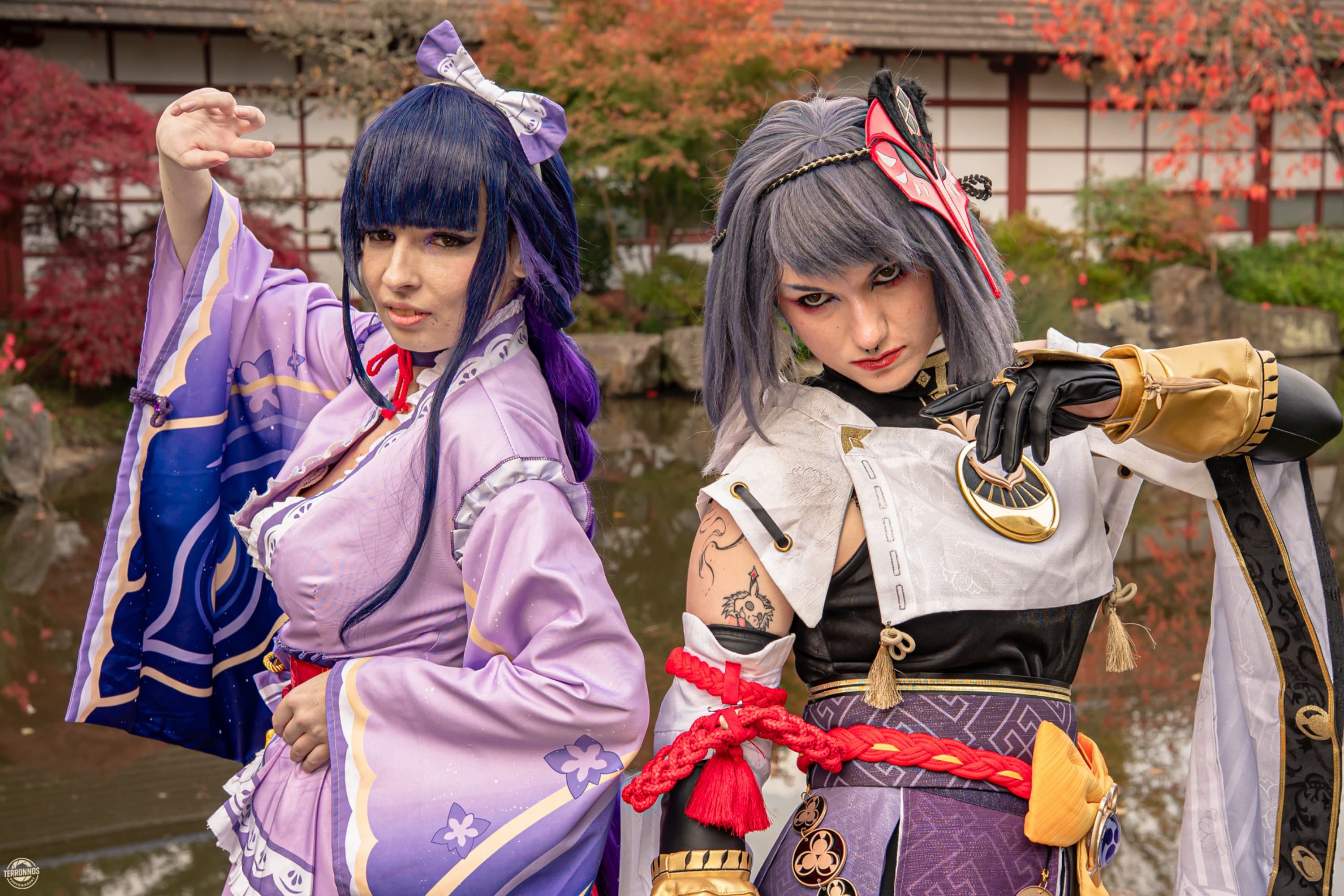 Raiden Shogun - Photo 5