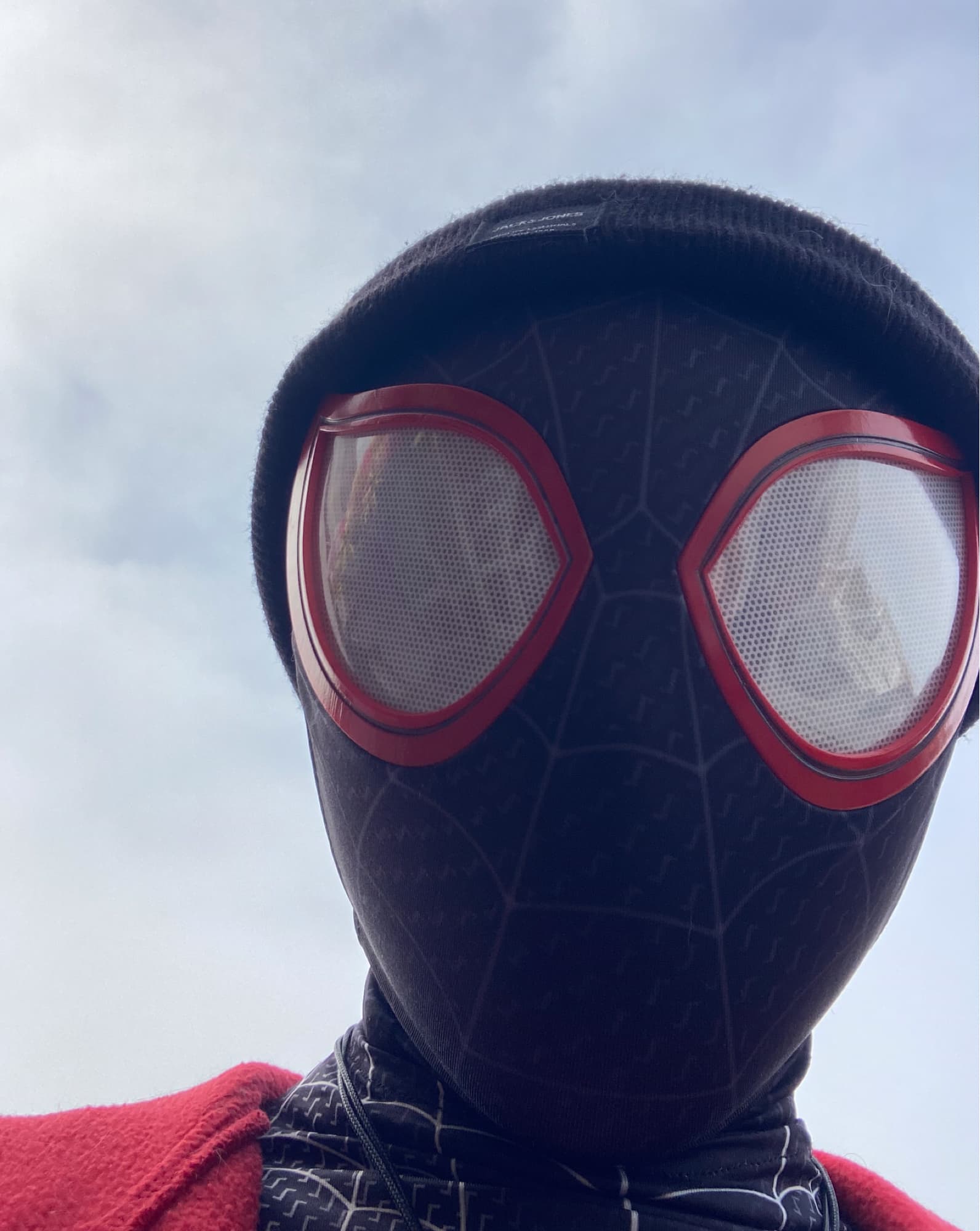 Spider-Man Miles Morales