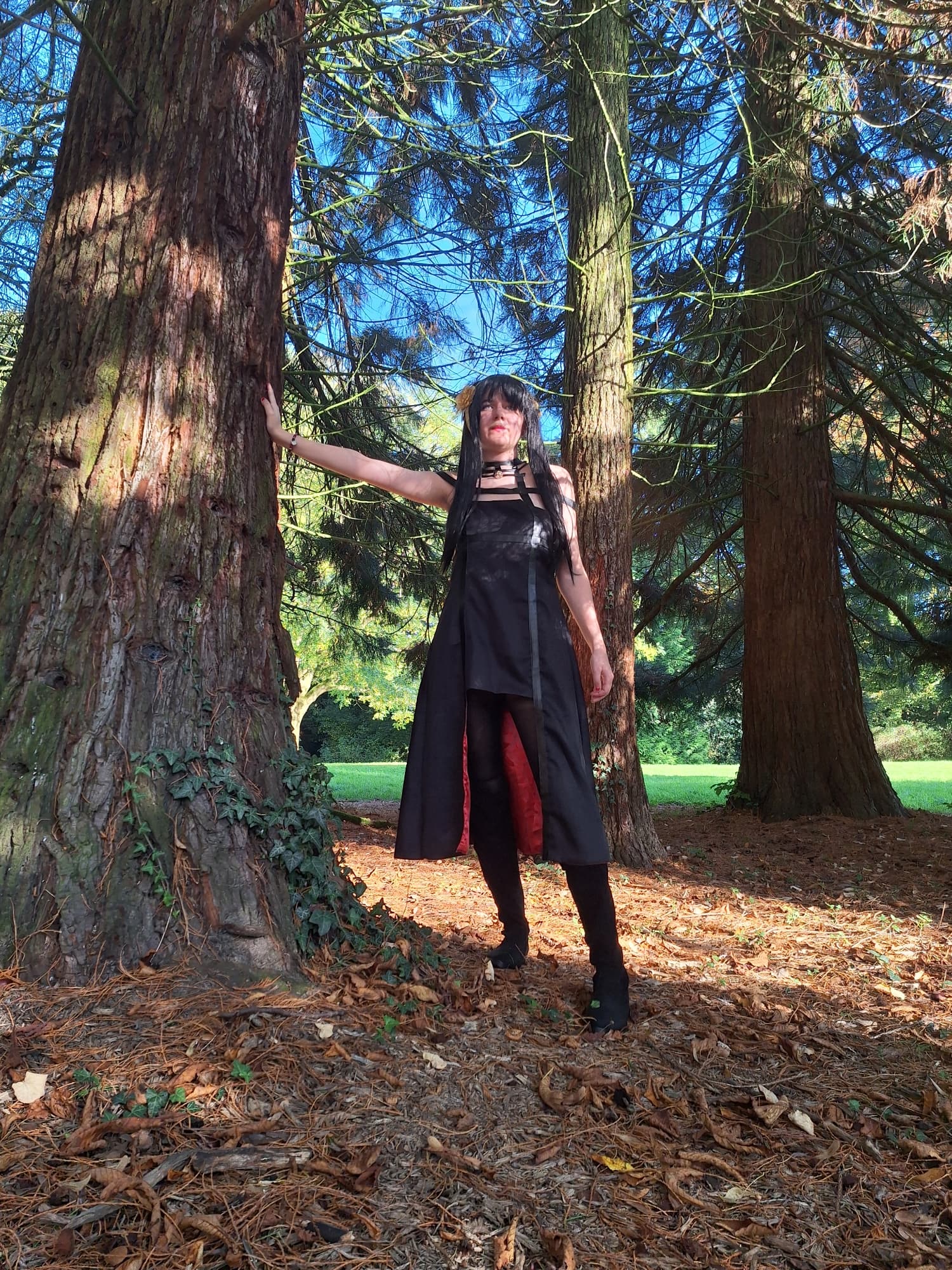 Yor forger  - Photo 8