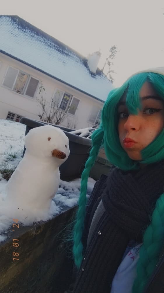 Miku snow casual cos