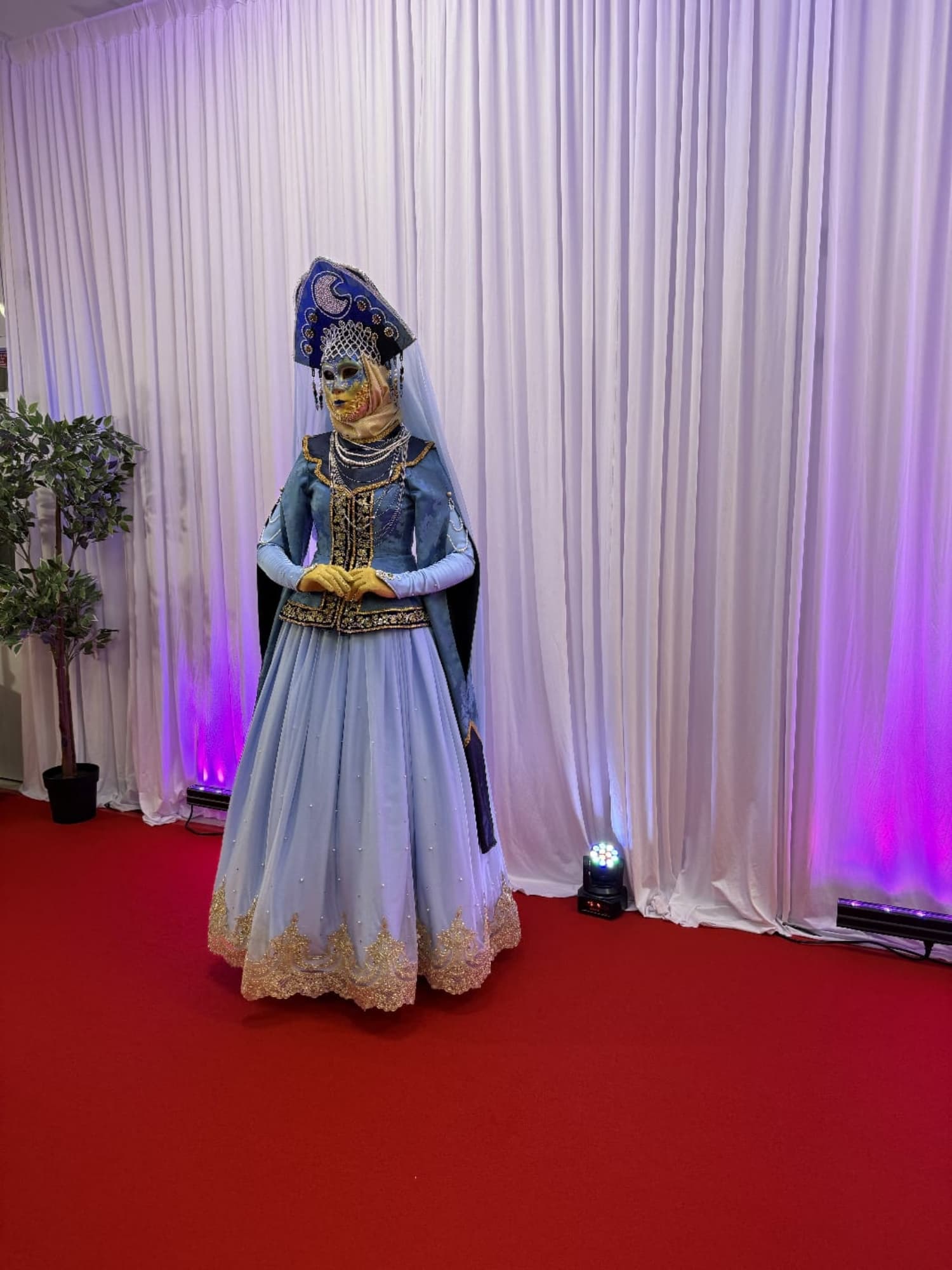 Défilé Nala - Photo 4