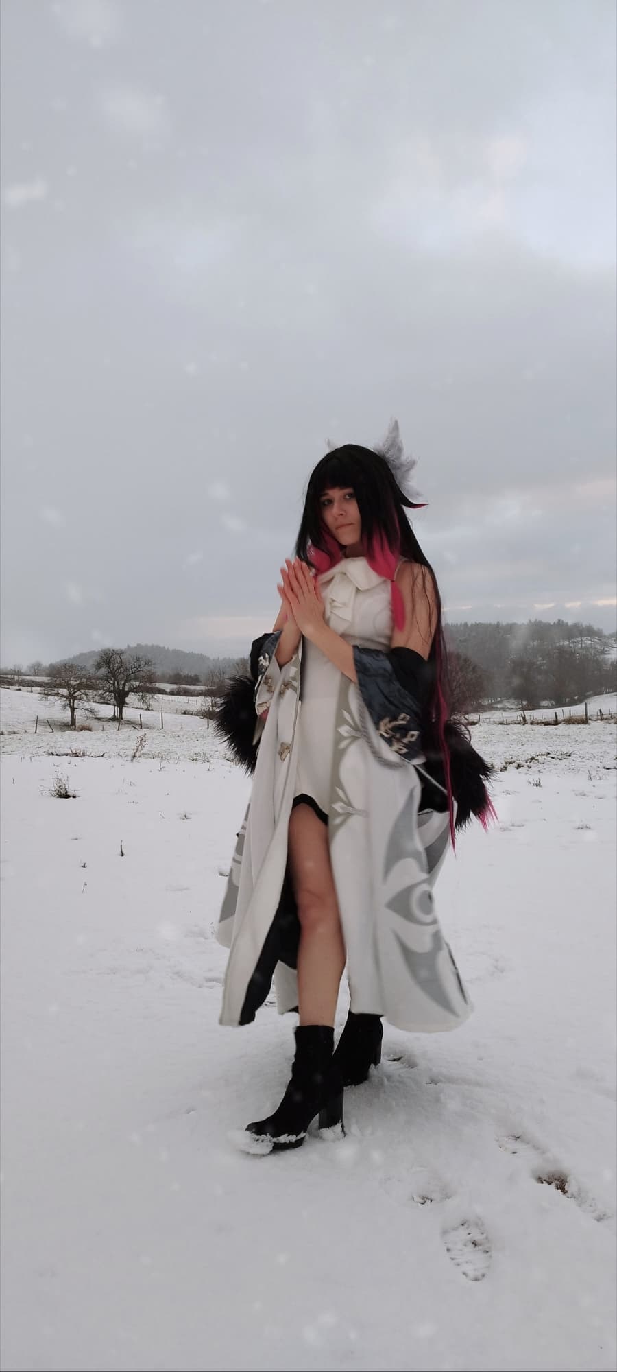 Columbina  - Photo 4