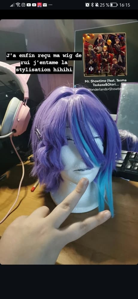 Avancement rui wig  - Photo 2