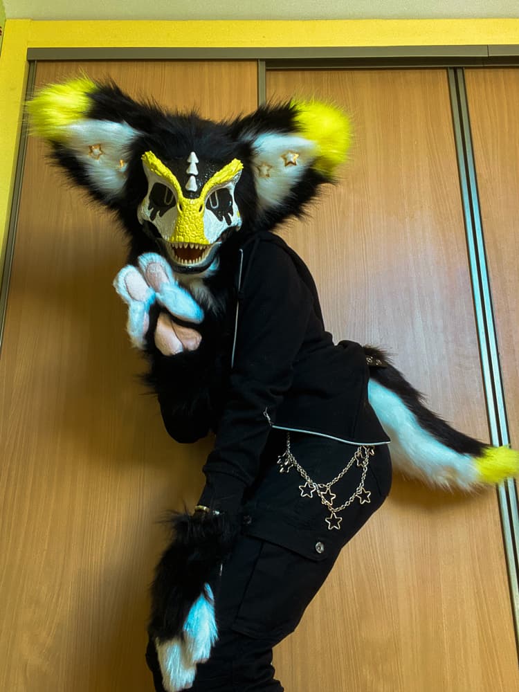 Photos Félix - Photo 9