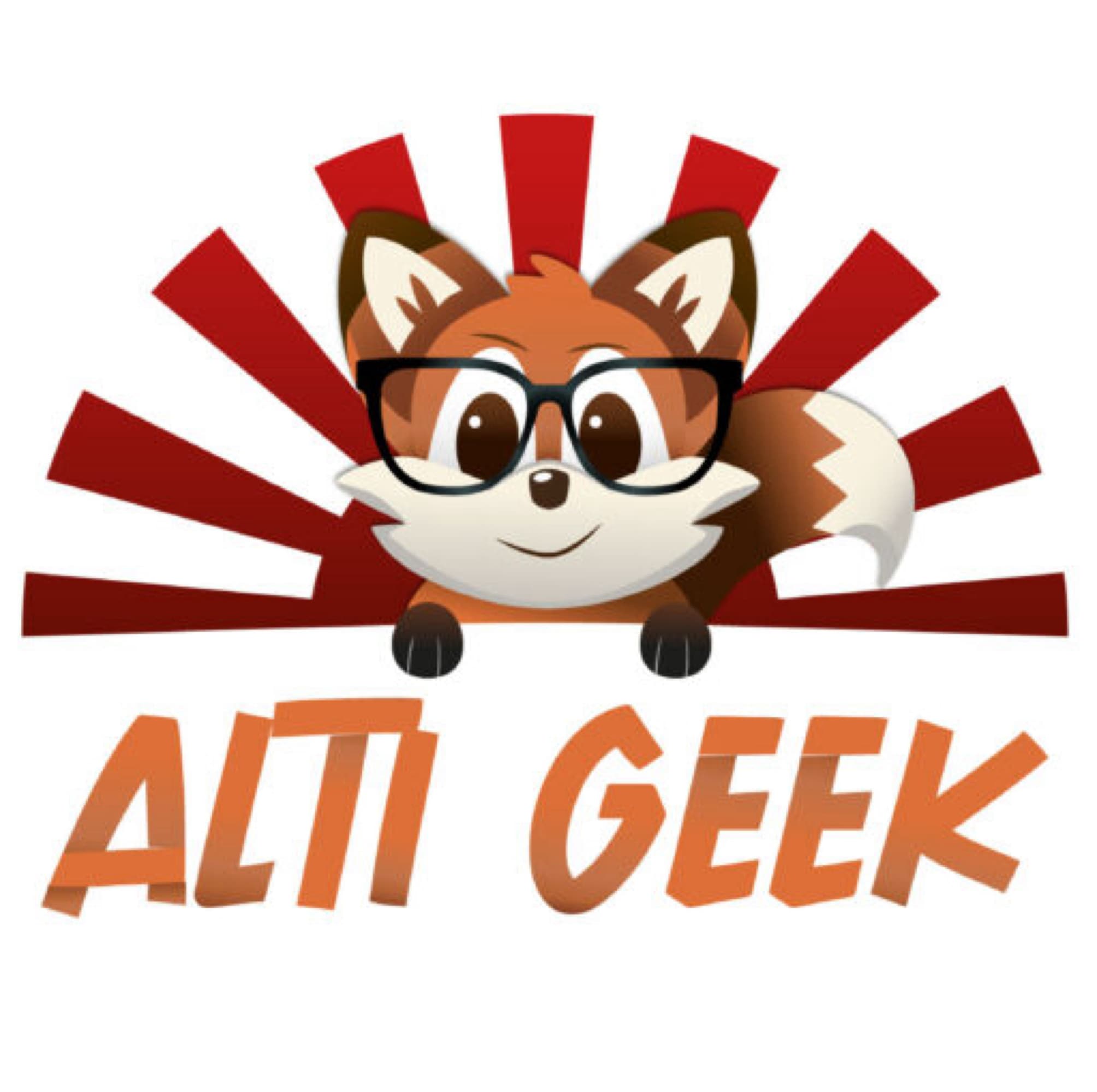 ALTI GEEK