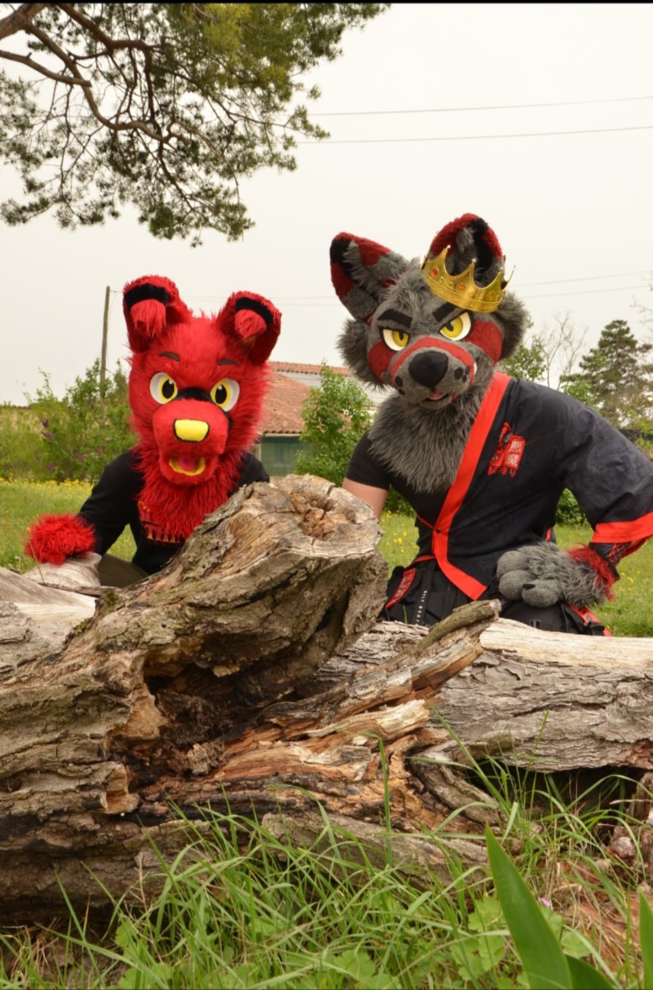 Nicko & Hatsu - Photo 8