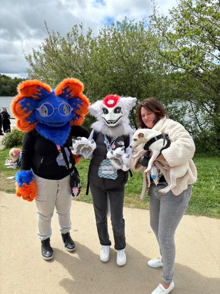 Stellar à japanante - Photo 2