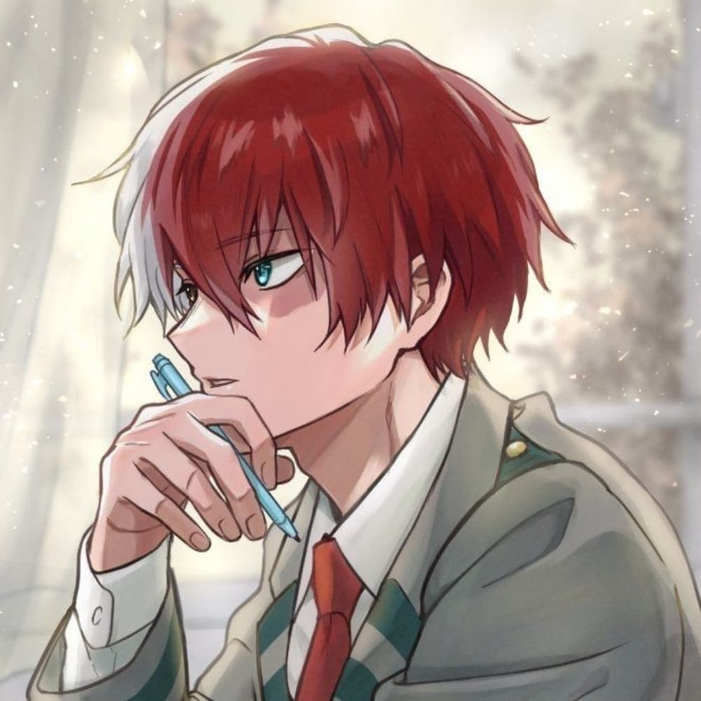 Shoto todoroki 