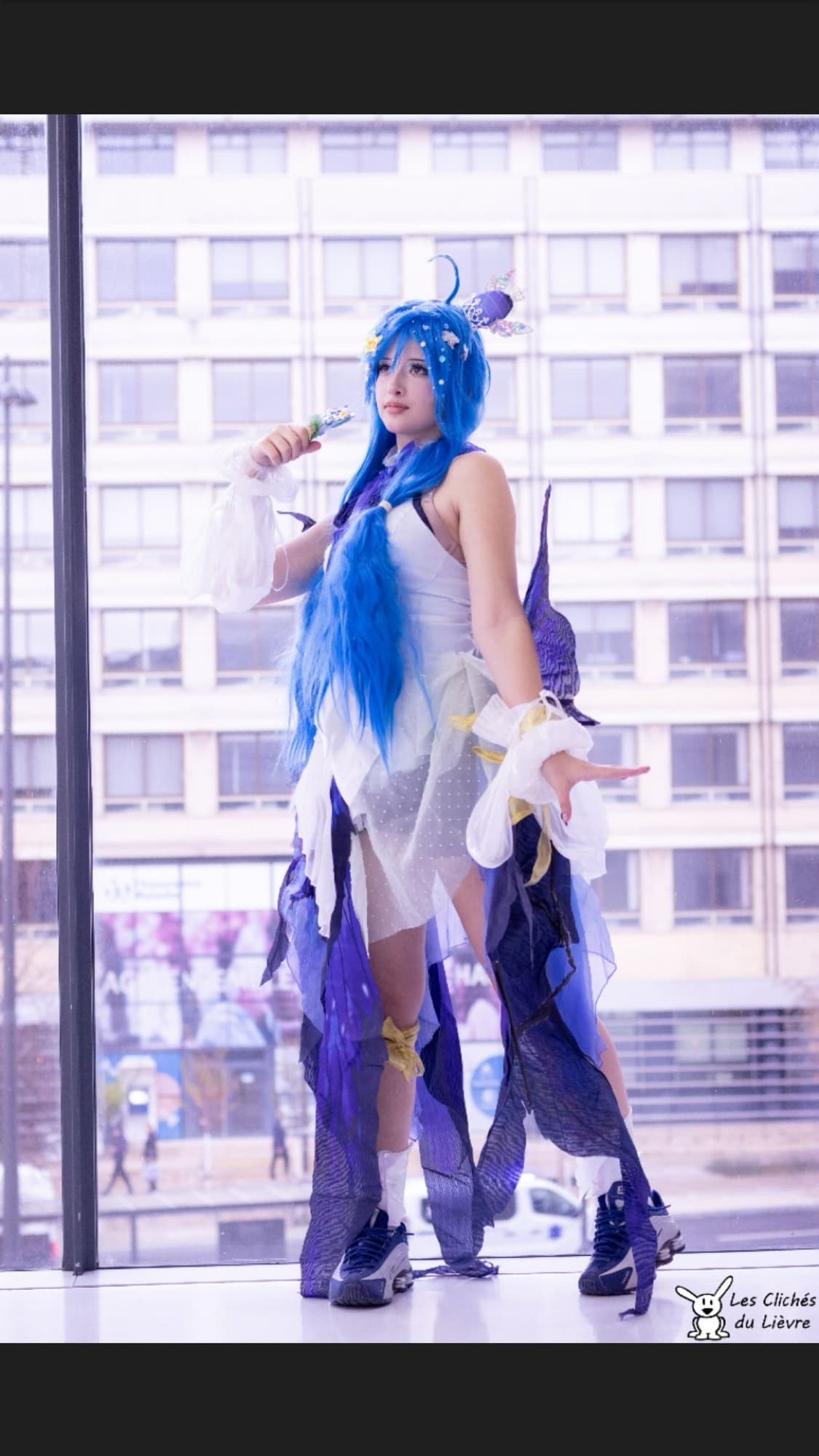 Miku butterfly - Photo 13