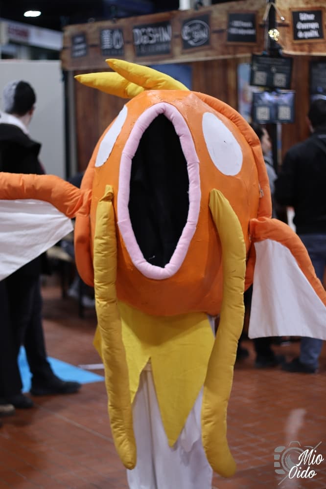 Angers 2022  - Photo 3