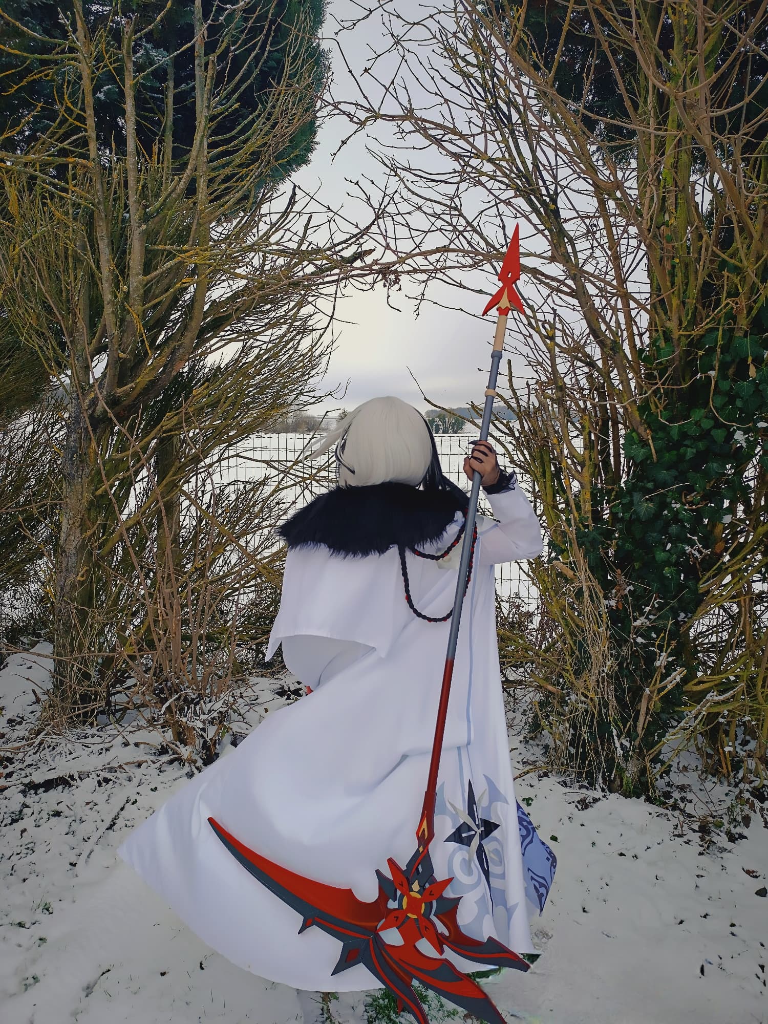 Arlecchino - Photo 2