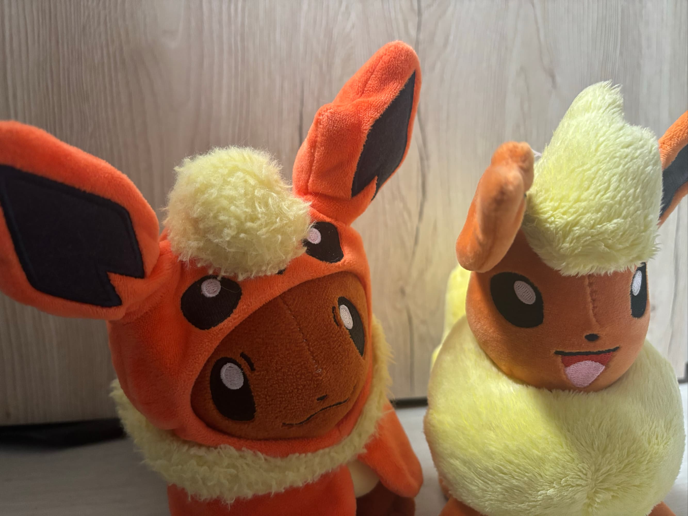 Evoli en Pyroli  - Photo 2