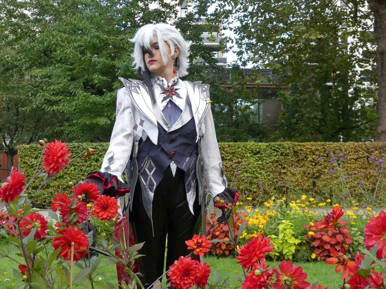 Arlecchino - Photo 13