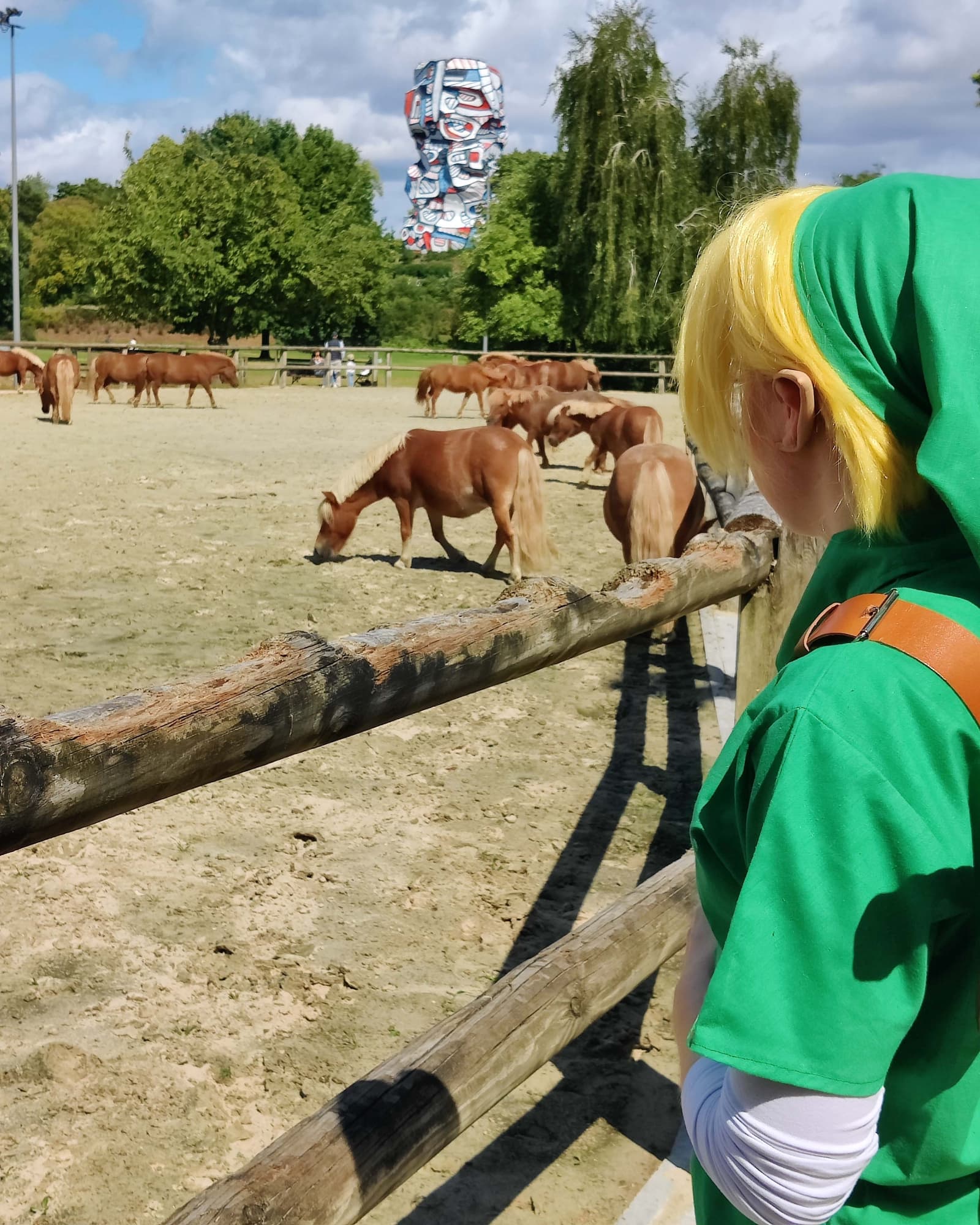 Link Lon lon - Photo 1