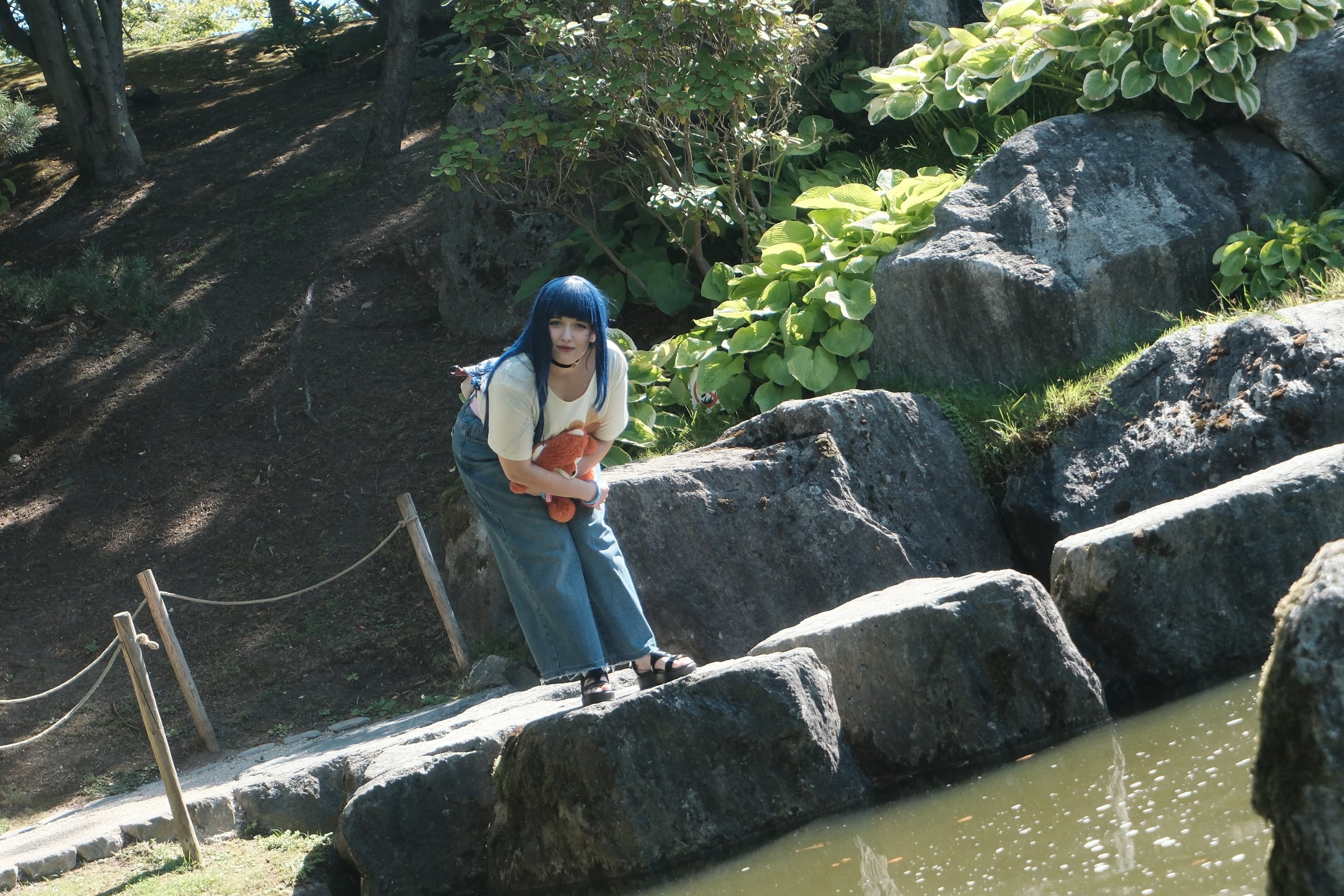 Himawari  - Photo 44