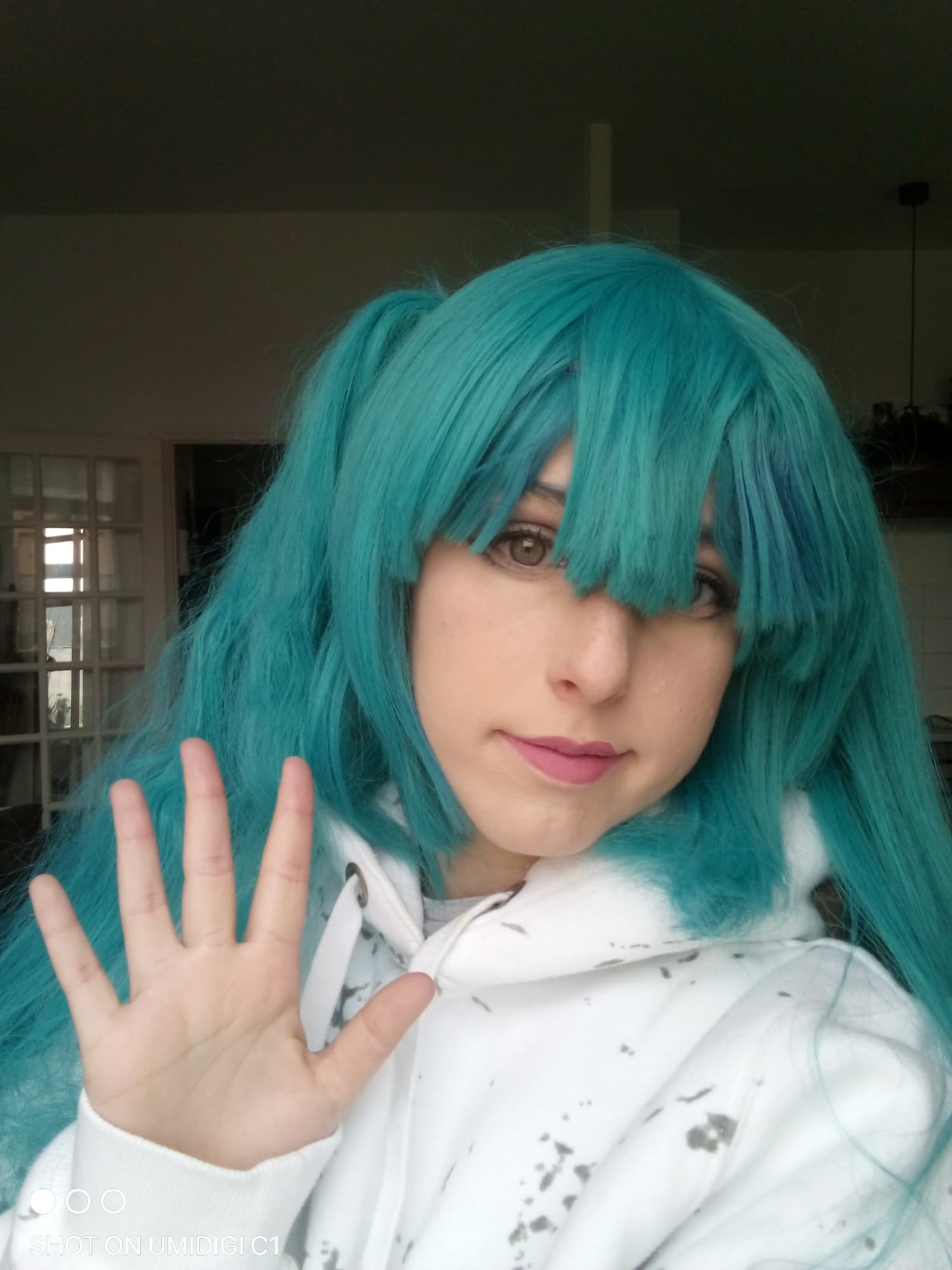 Casual miku - Photo 6