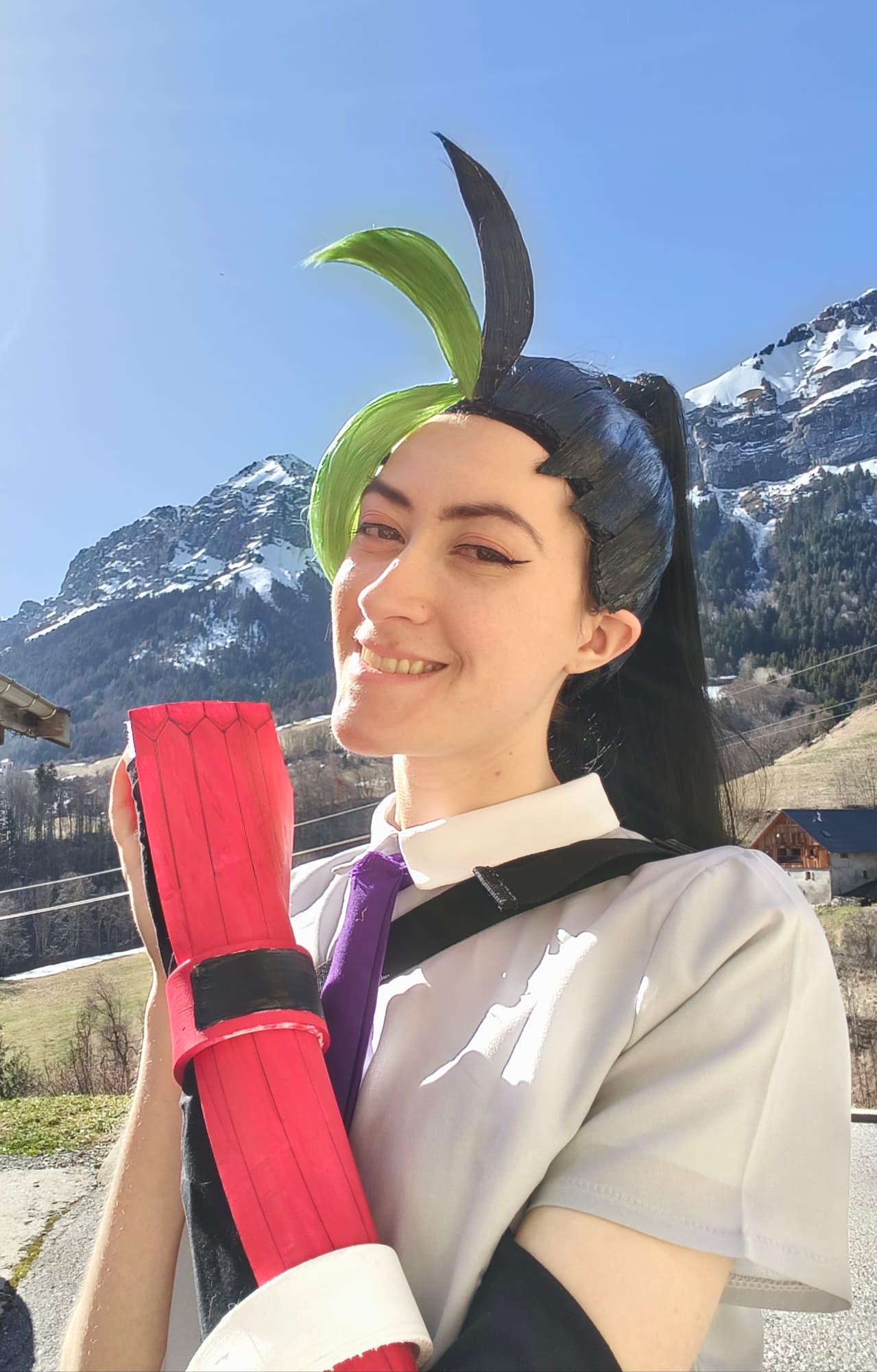 Menzi (V1) P1 - Photo 8