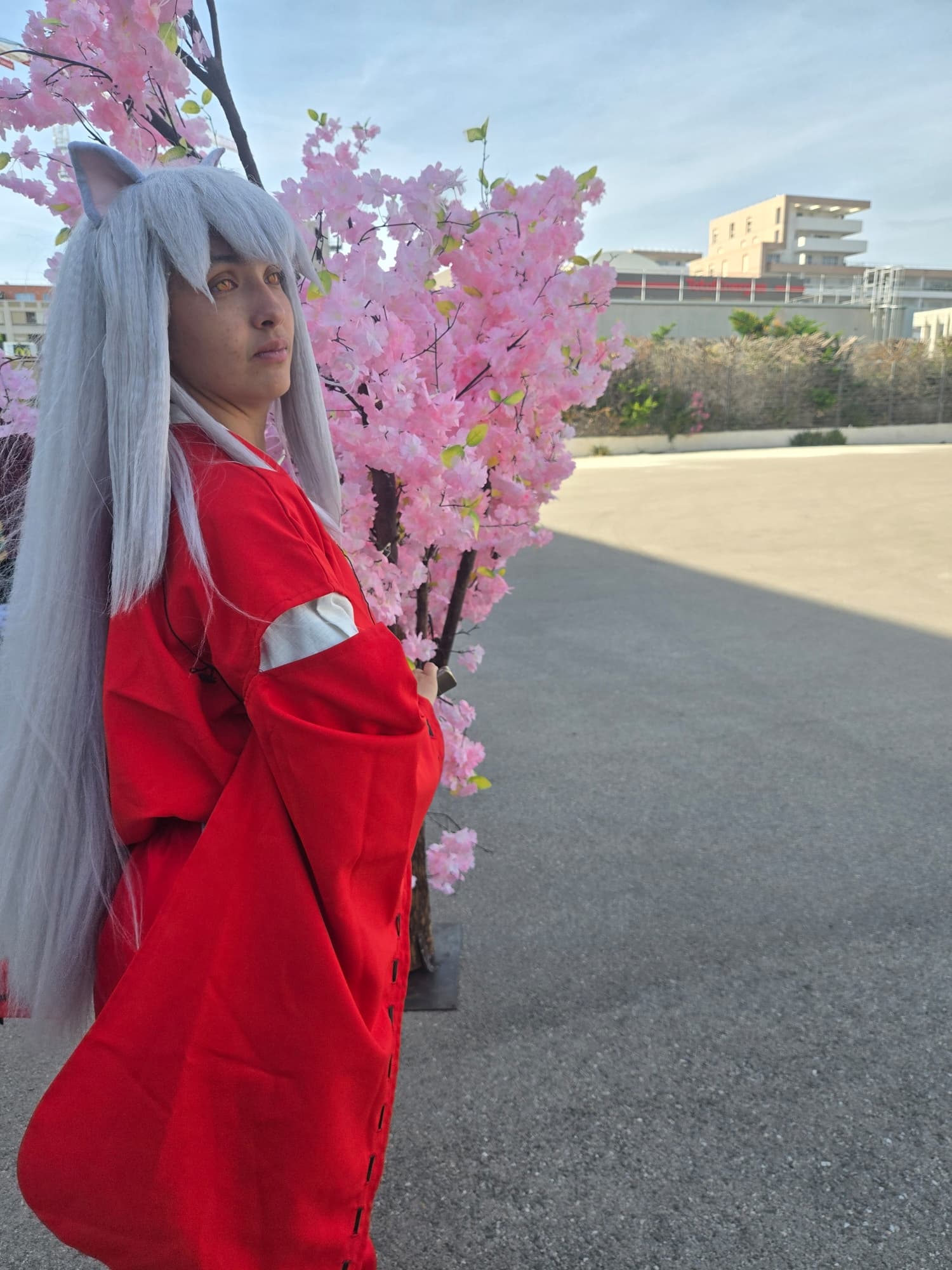 Inuyasha  - Photo 33