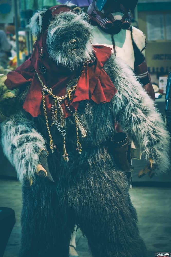 HéroFestival  - Photo 2