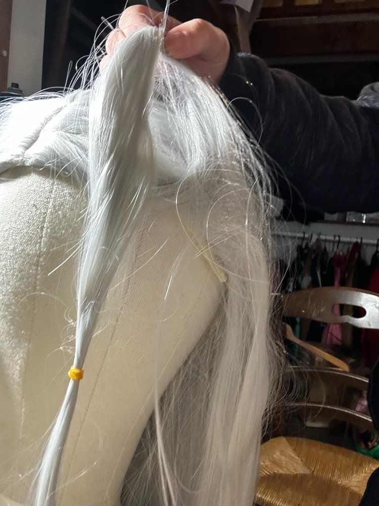 Wig et accessoires   - Photo 16