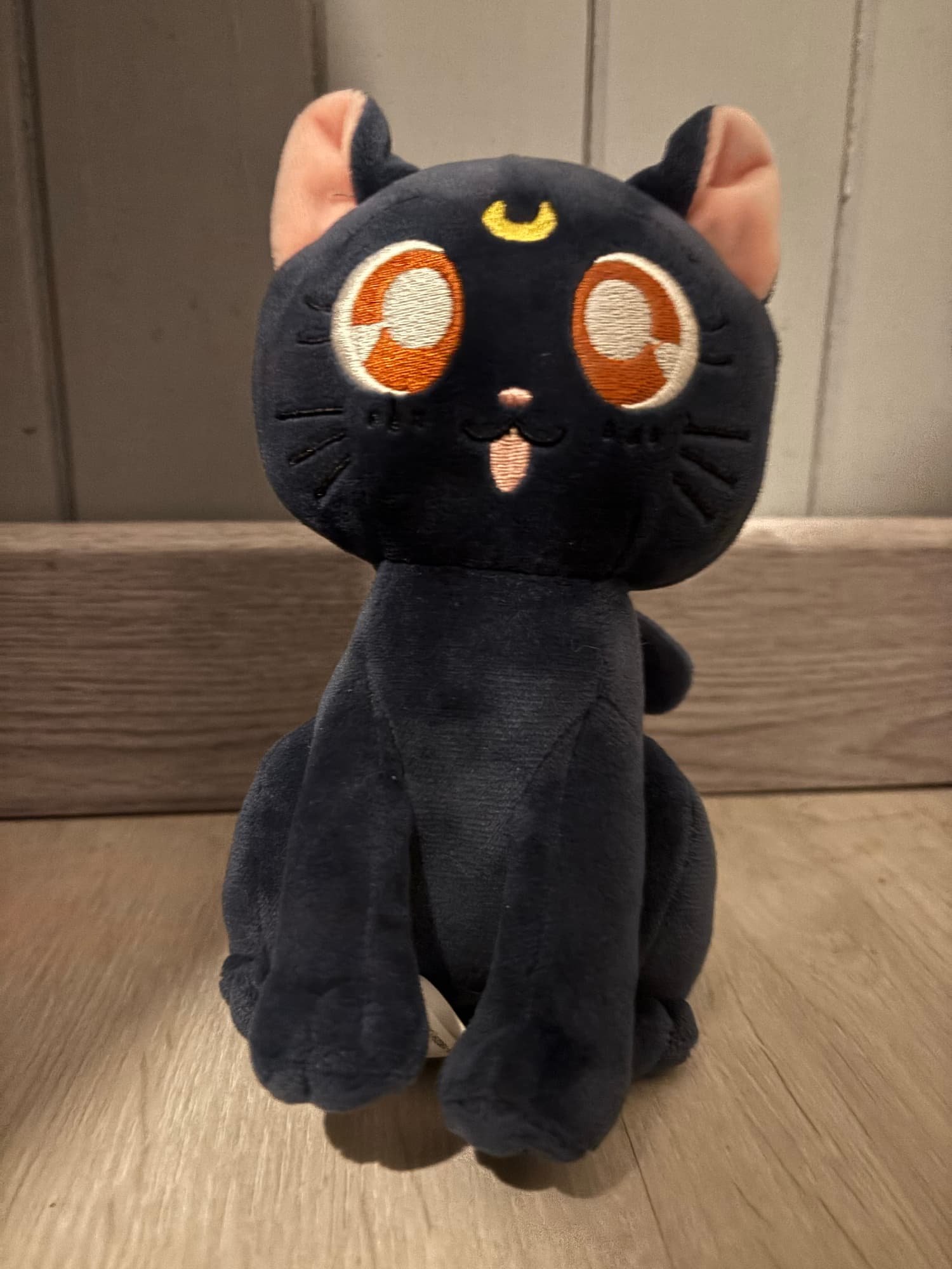 Chat (Sailor moon) - Photo 1