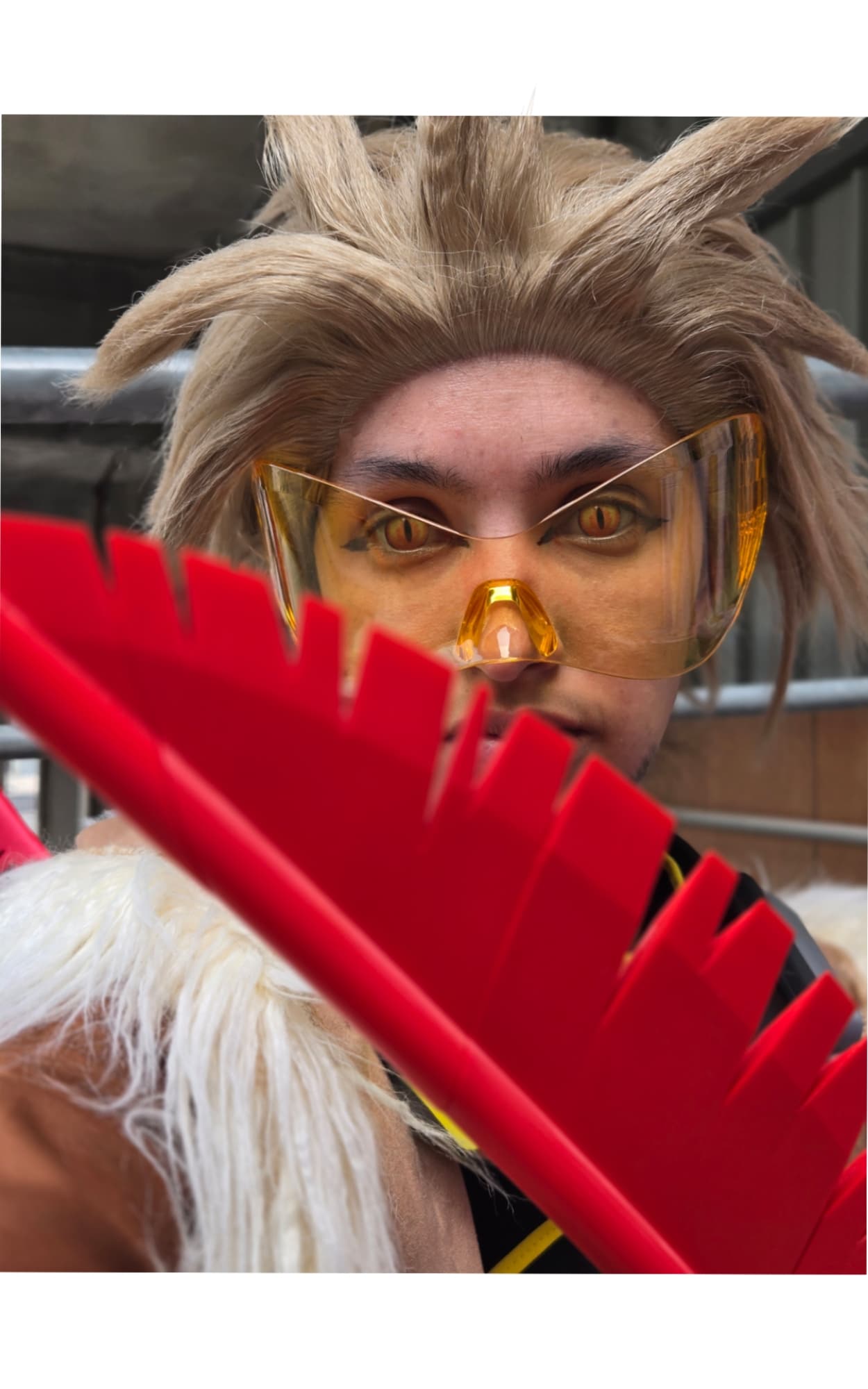 Hawks  - Photo 14