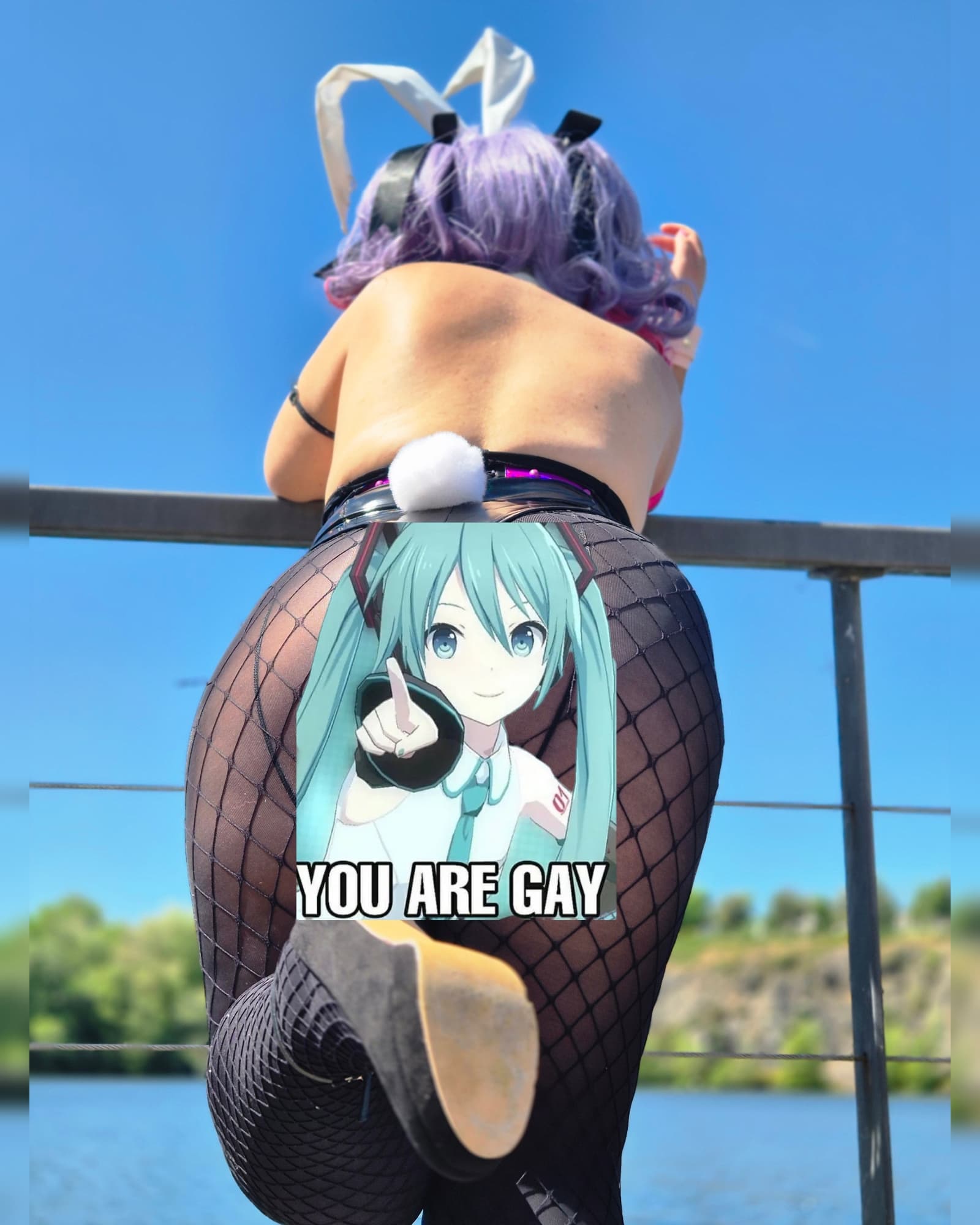 Rabbit hole miku - Photo 4