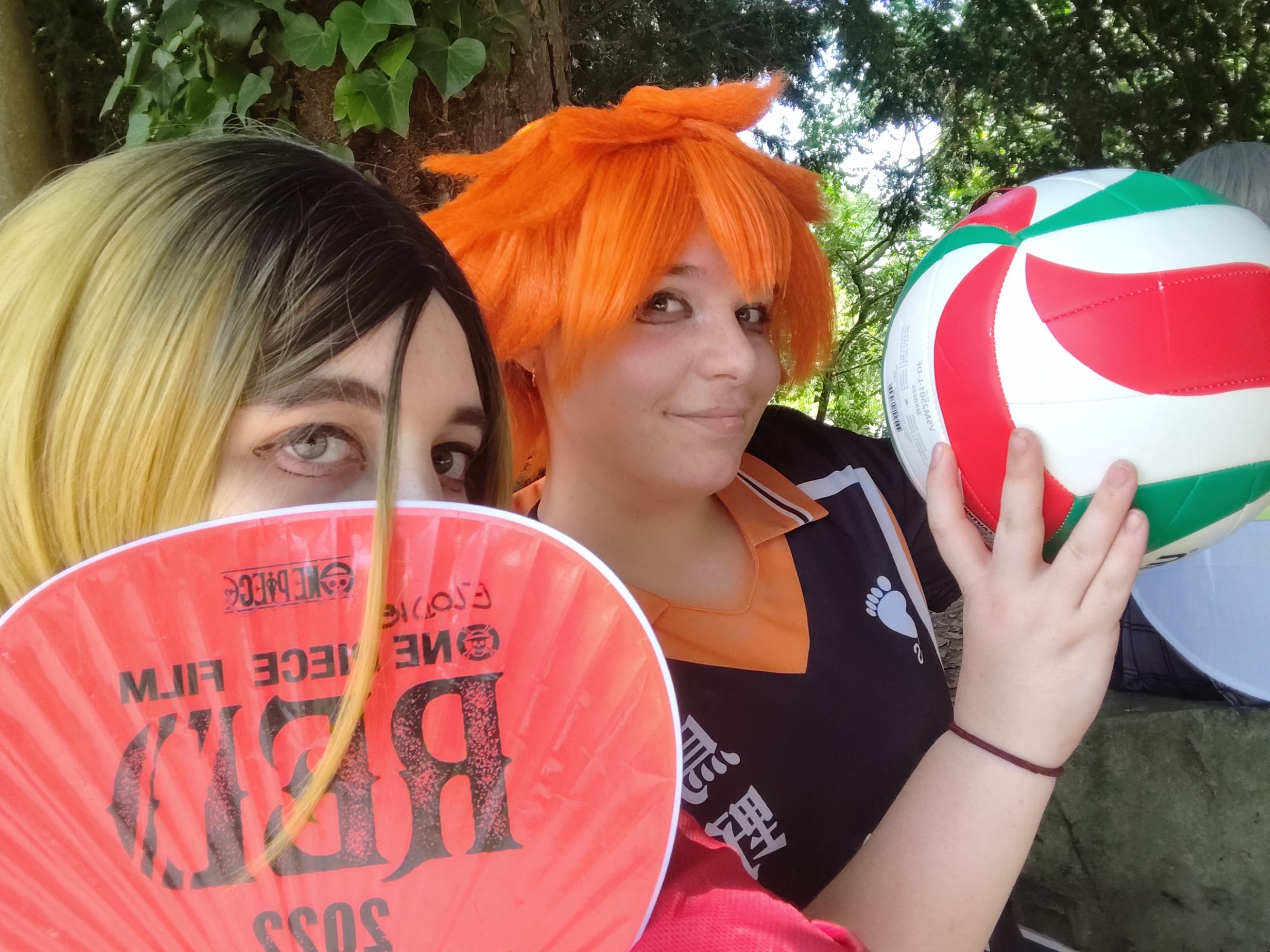 Japan Party