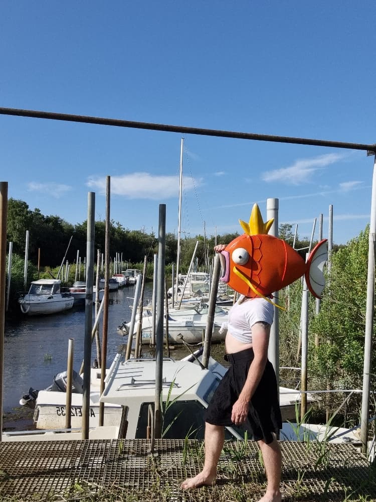 MagicarpettePortBiga - Photo 3