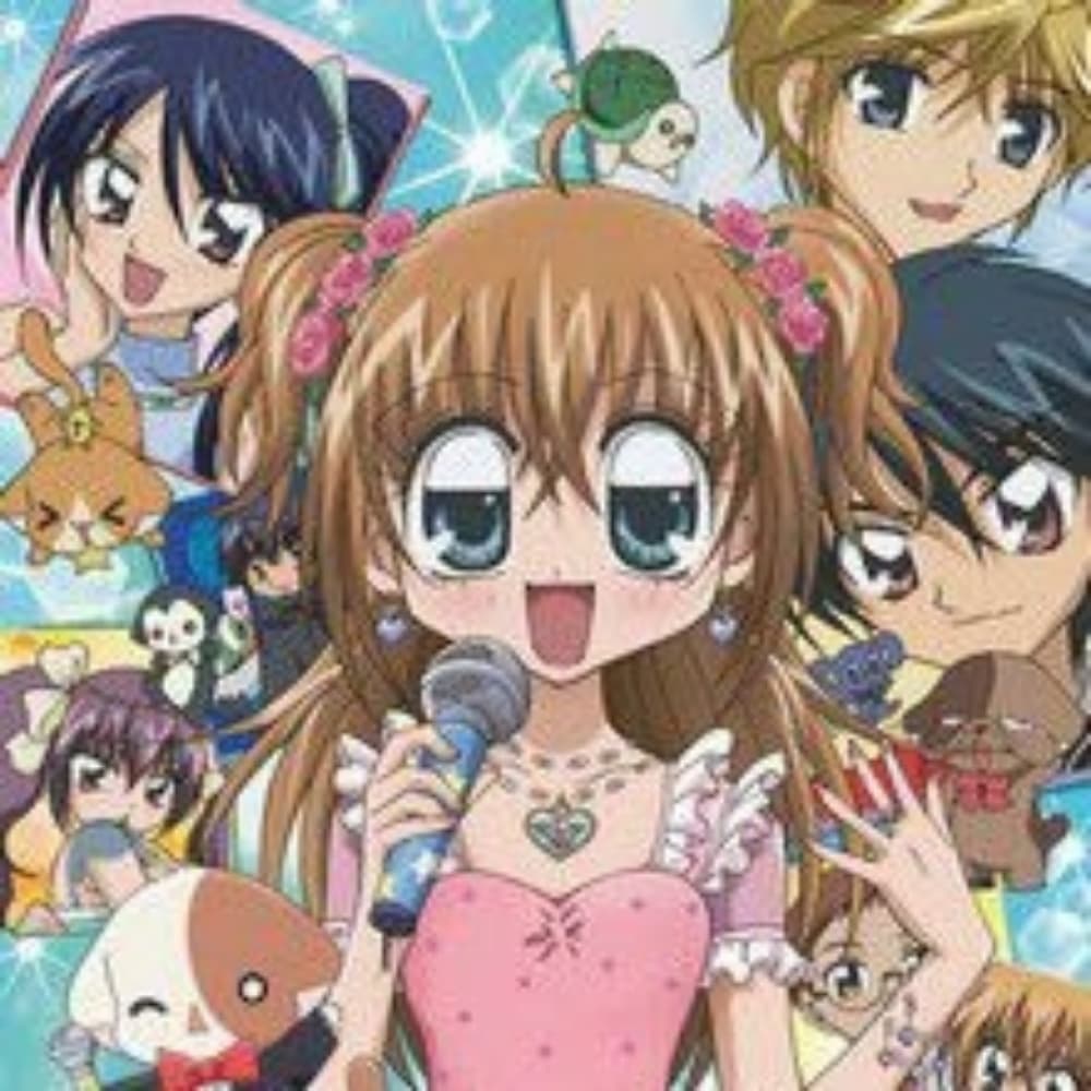 ✨Kilari Revolution✨️