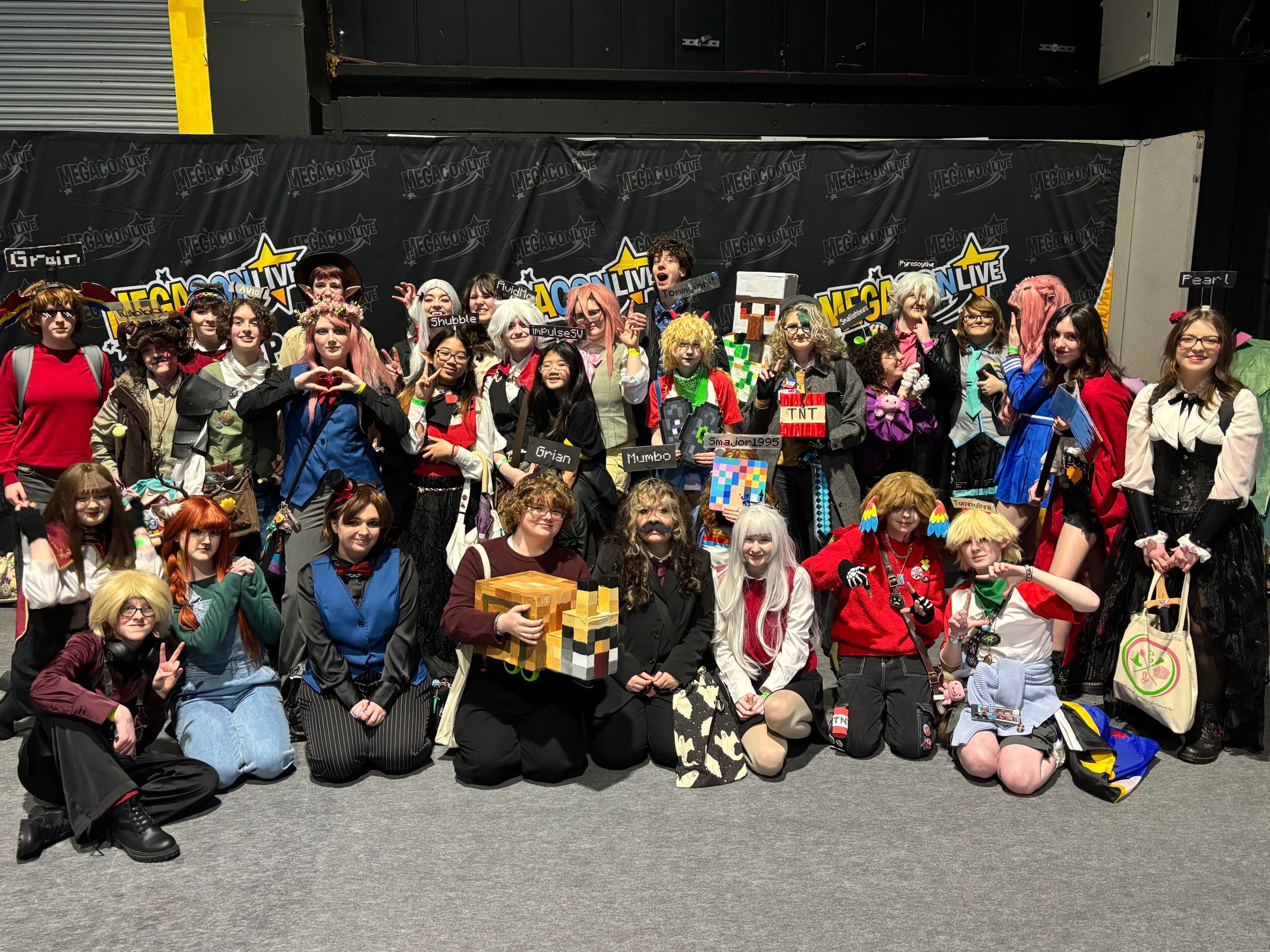 Dublin megacon '26 - Photo 10