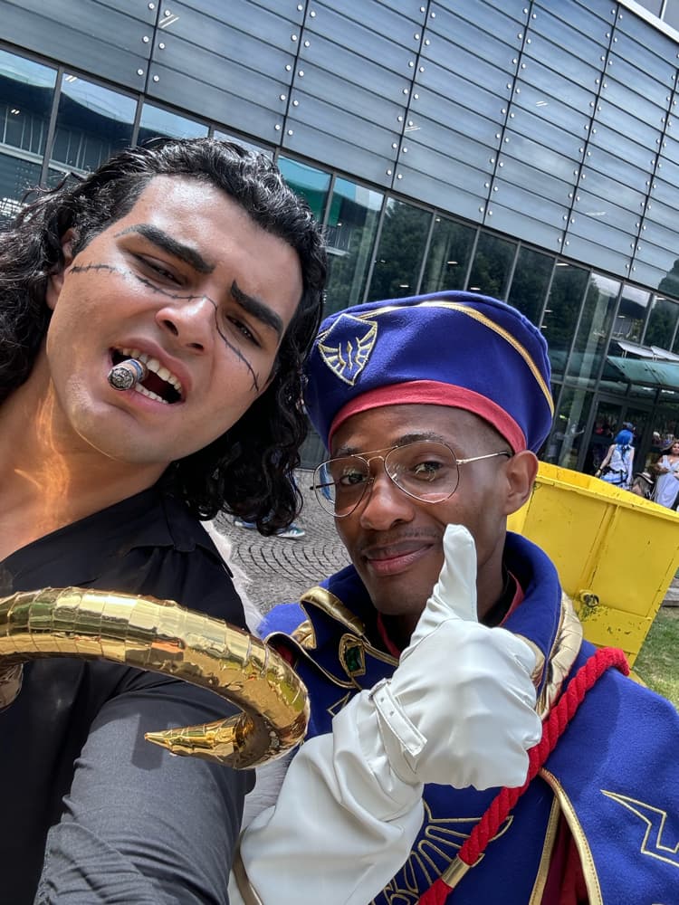 Link royal guard - Photo 9