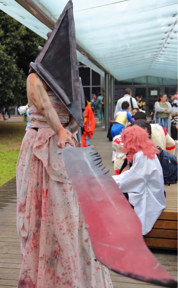 Pyramid head  - Photo 11